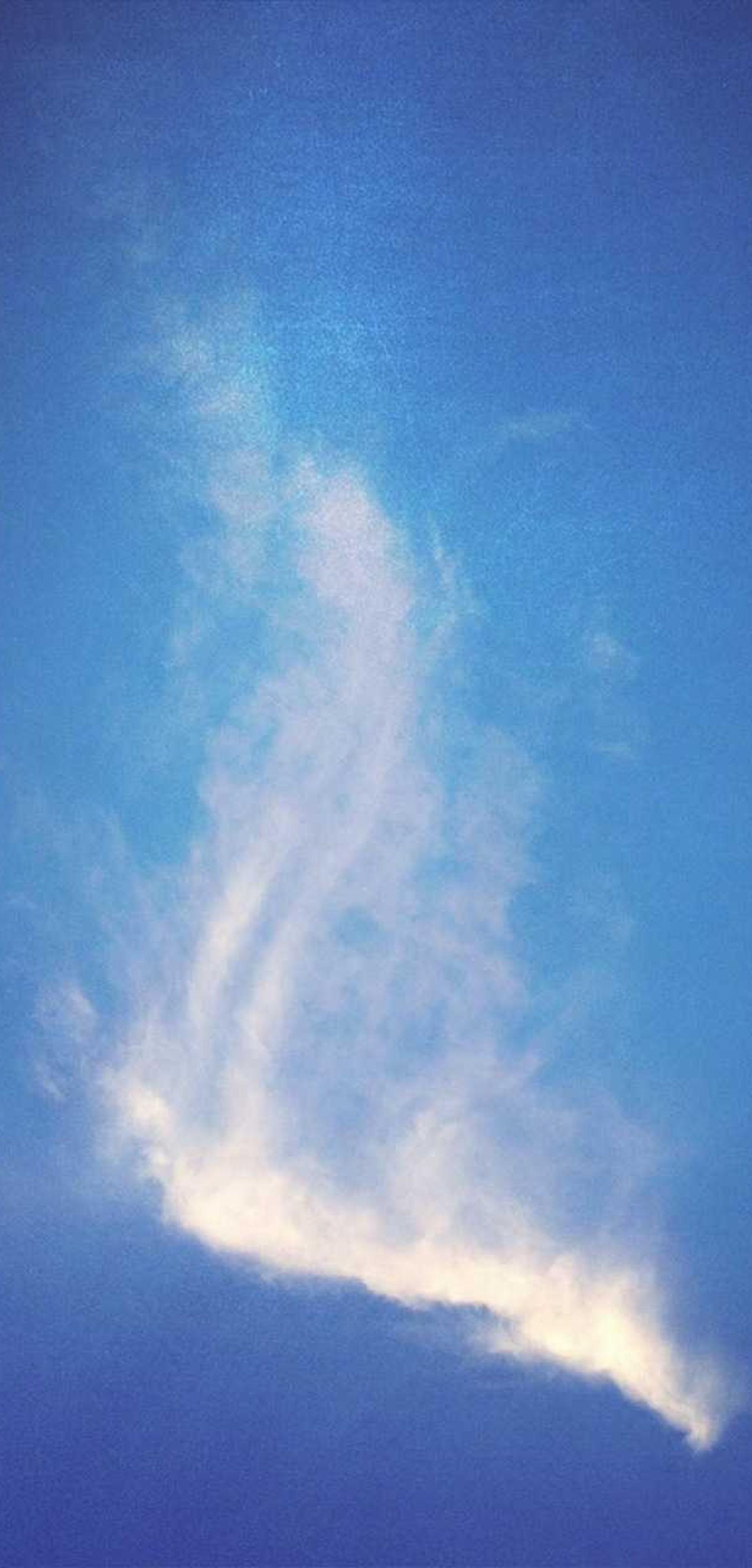 image - 18fa1e8c d064 49ff 856b fffb5ecfbe3a