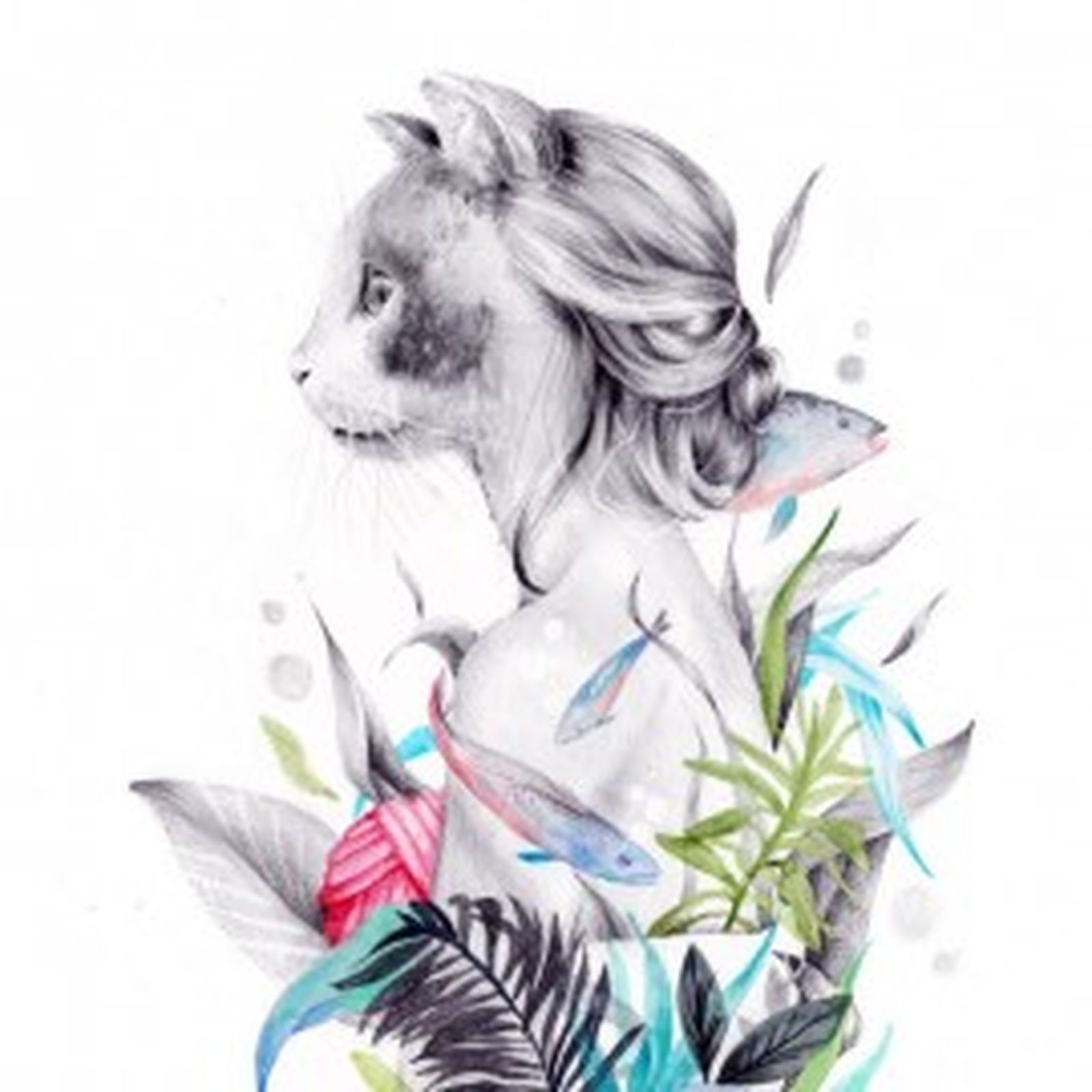 imagen de autor andrea lopez imagen de autor andrea lopez