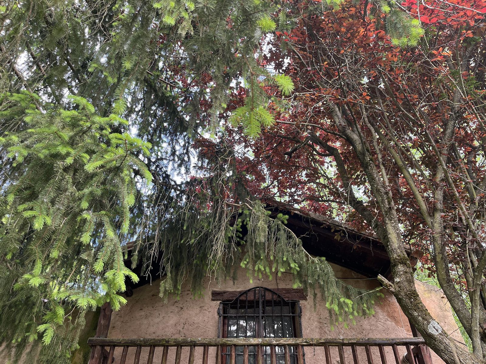 IMG_0773.jpeg IMG_0773.jpeg