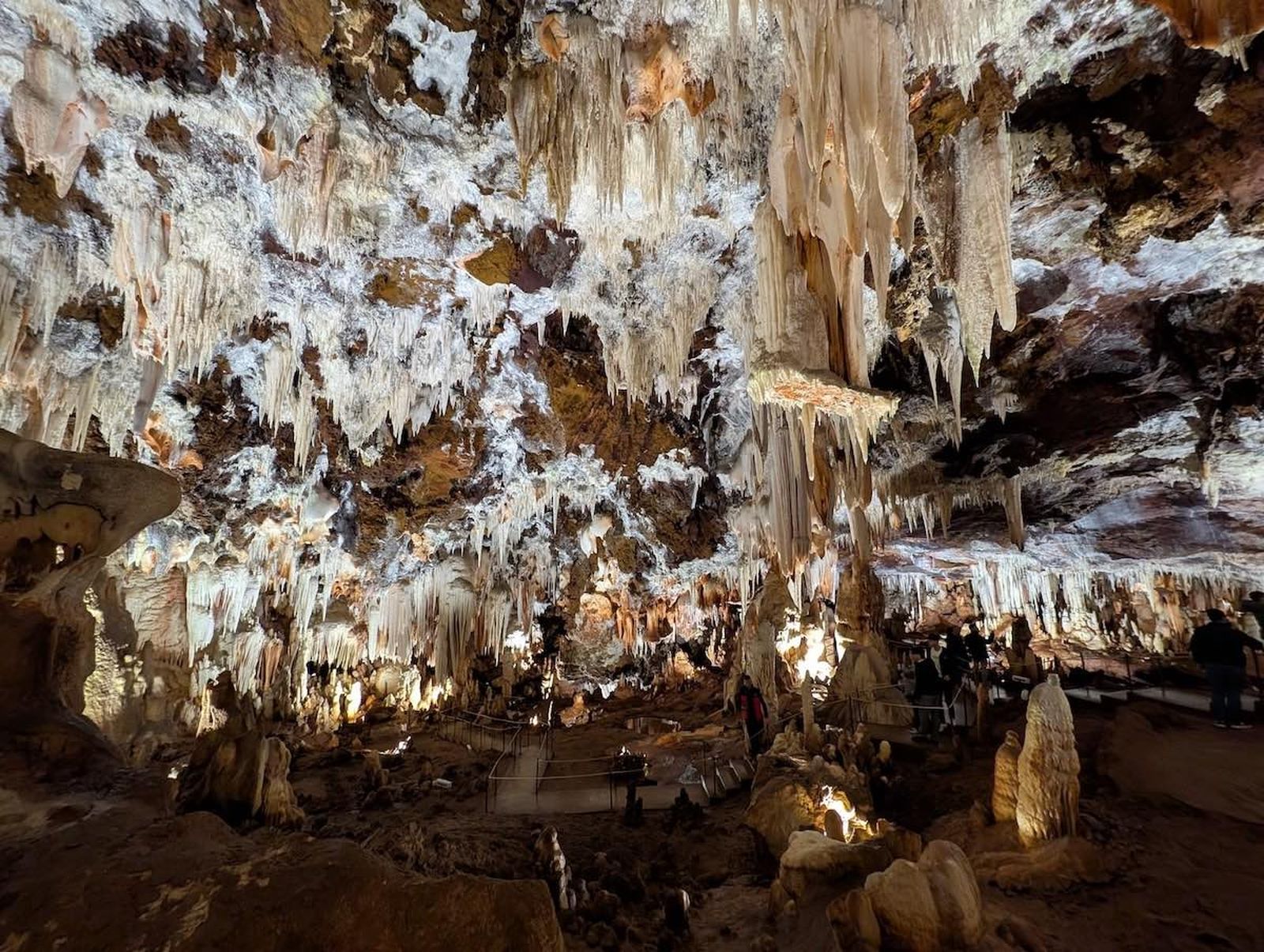 avila-cueva-aguila-portada avila-cueva-aguila-portada