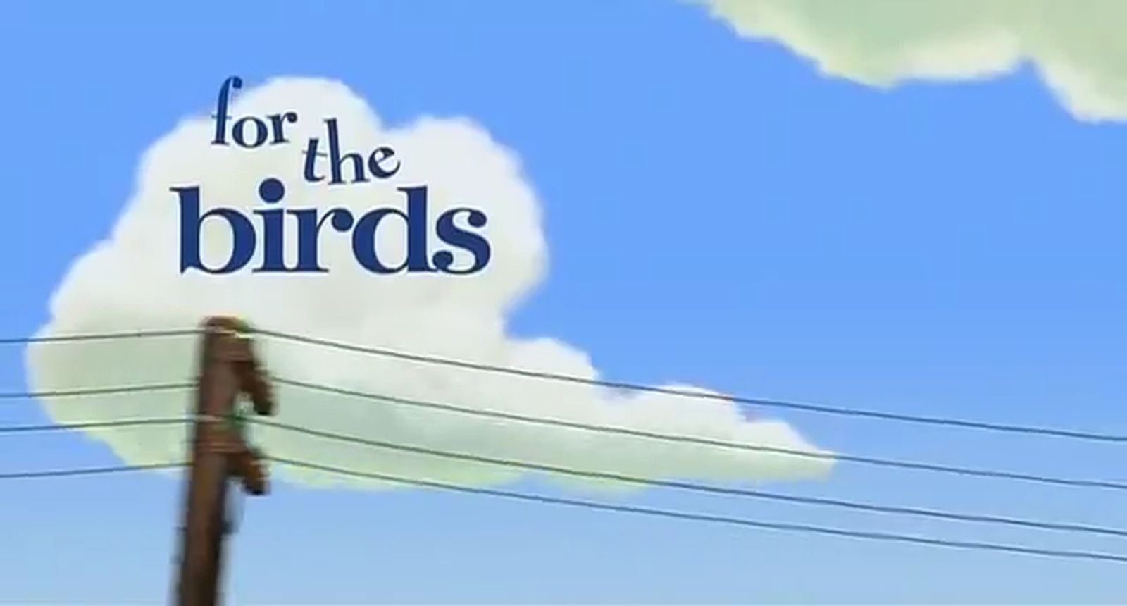 Mi primer contenido de video