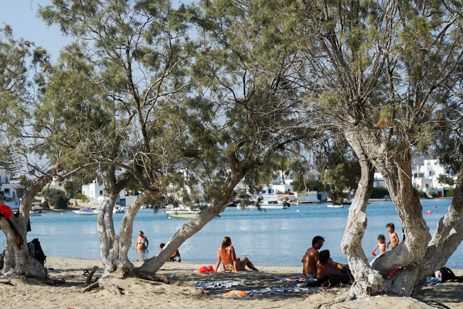 Galería Test Móvil