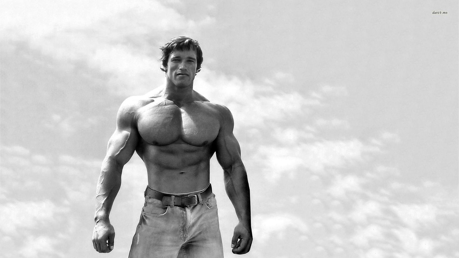 arnold schwarzenegger test arnold schwarzenegger test