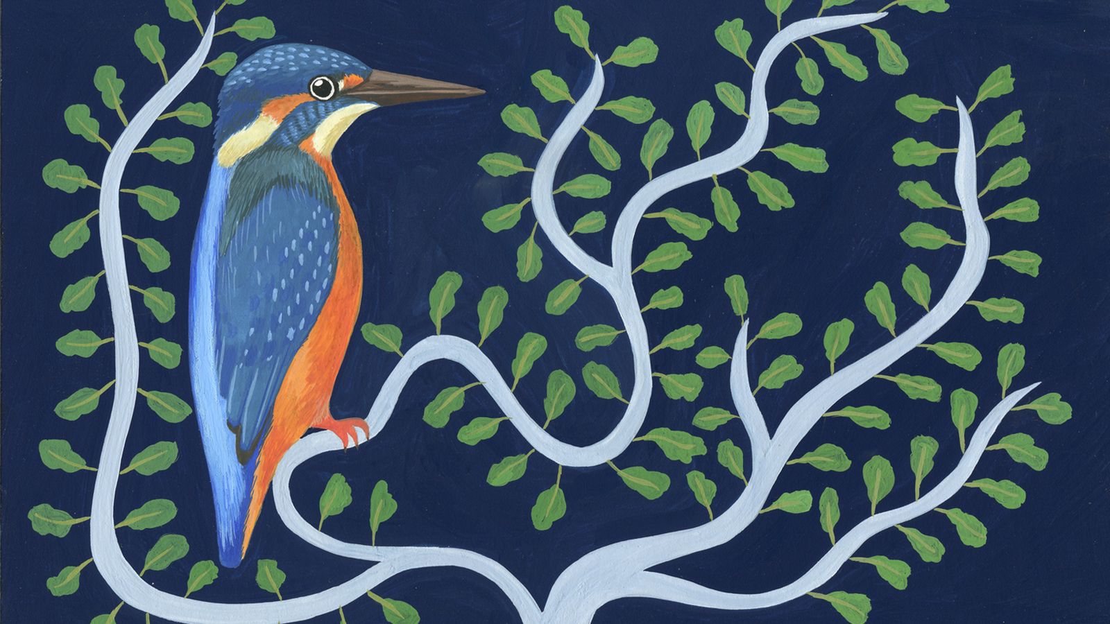 nouvelle image  1617522 nouvelle image  1617522