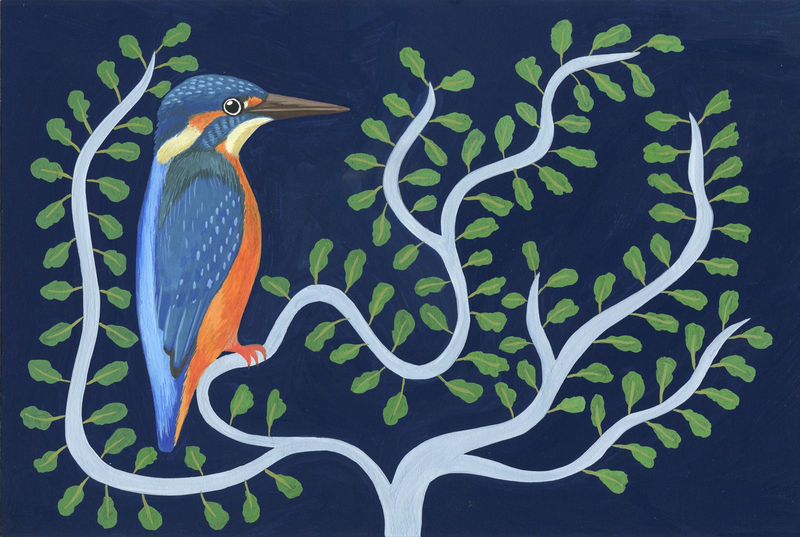 nouvelle image  1617522