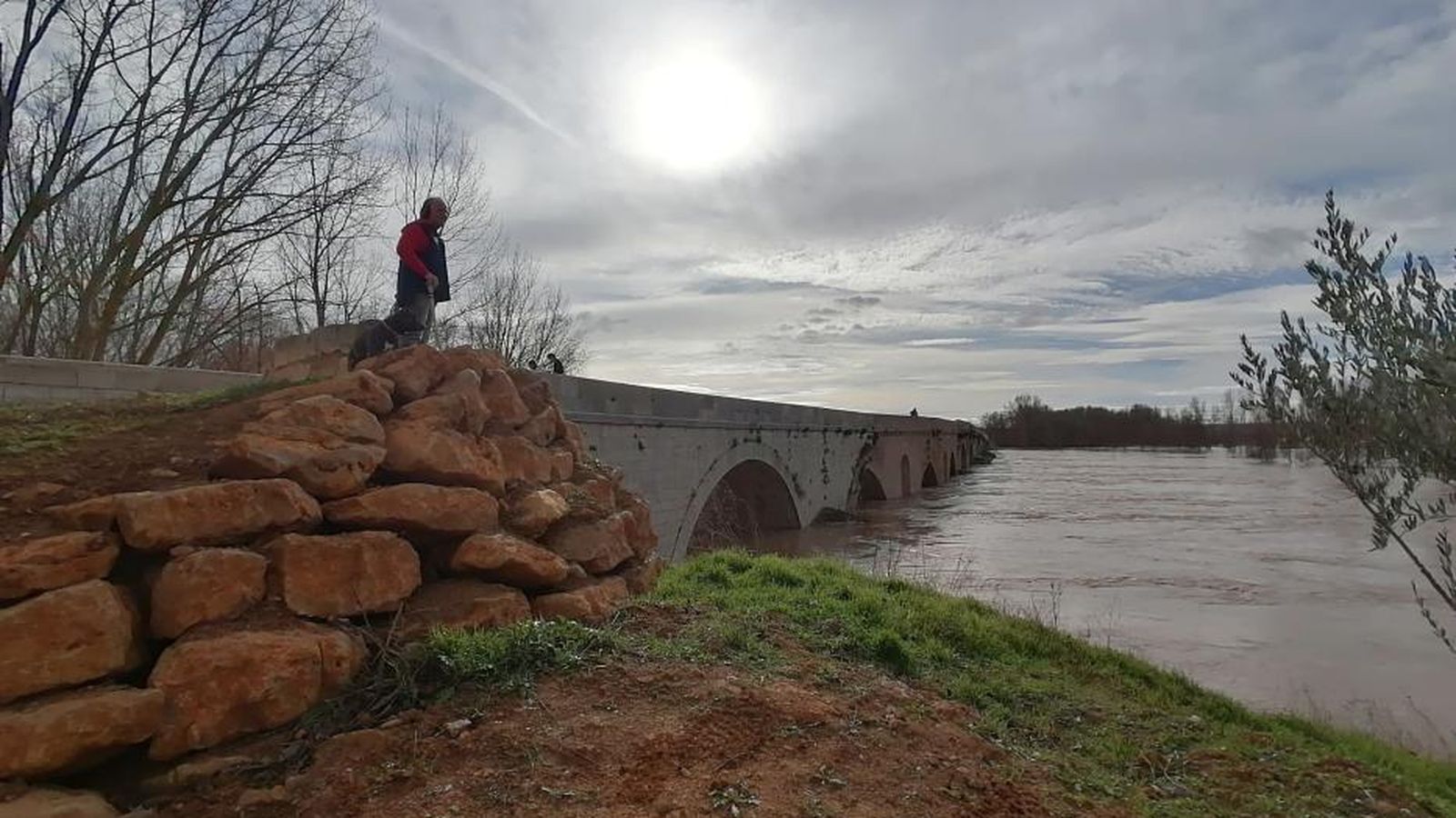 Test subida múltiple imágenes Test subida múltiple imágenes