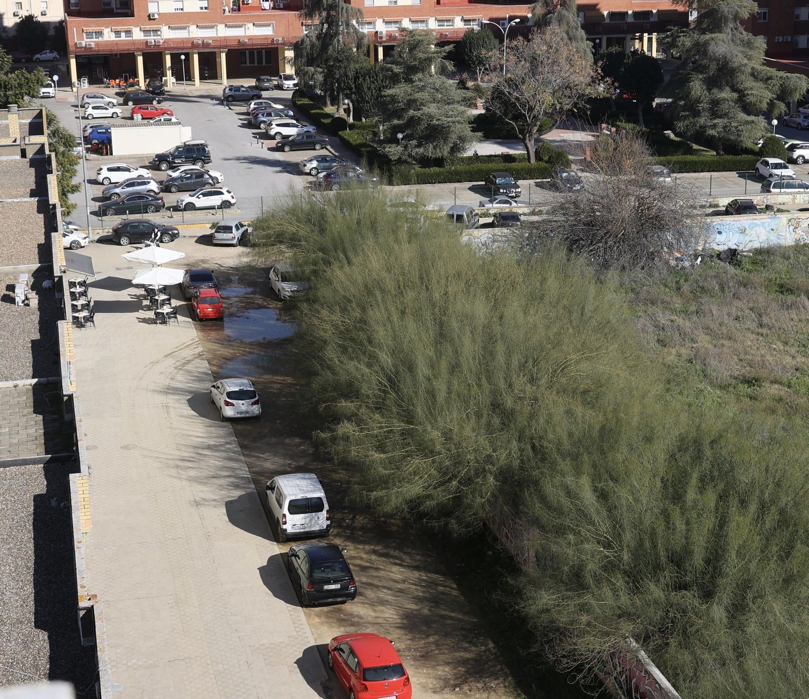 Mas de 100 todas correctas/solar-tamarguillo-771cde9 Mas de 100 todas correctas/solar-tamarguillo-771cde9