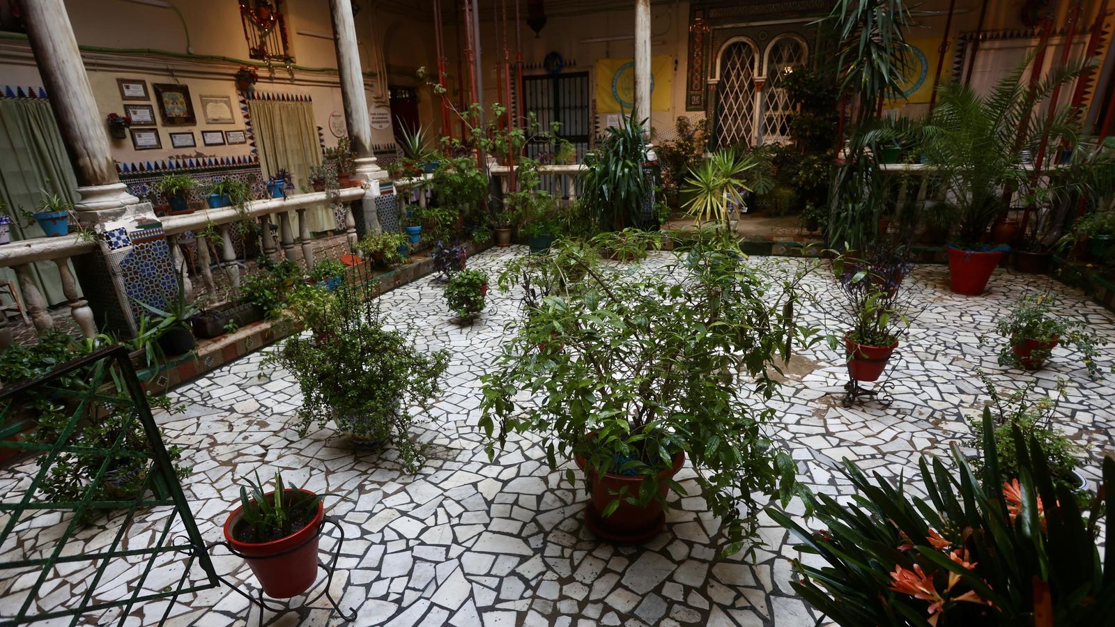 image00005.jpeg image00005.jpeg