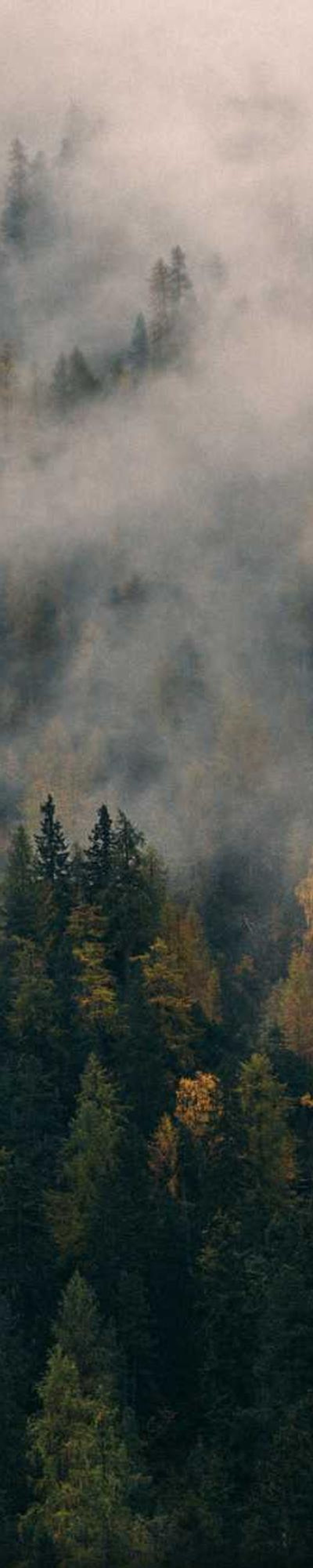 image - 9d3e3413 1548 4858 a0ee 0b581071e5da image - 9d3e3413 1548 4858 a0ee 0b581071e5da