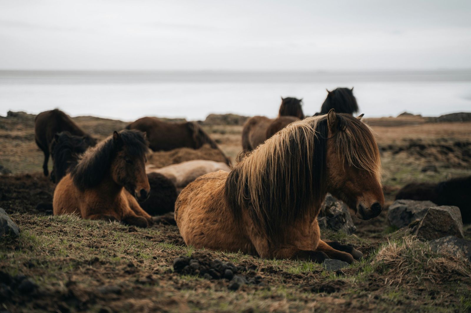 benjamin-chambon-8NscuUOTvSg-unsplash