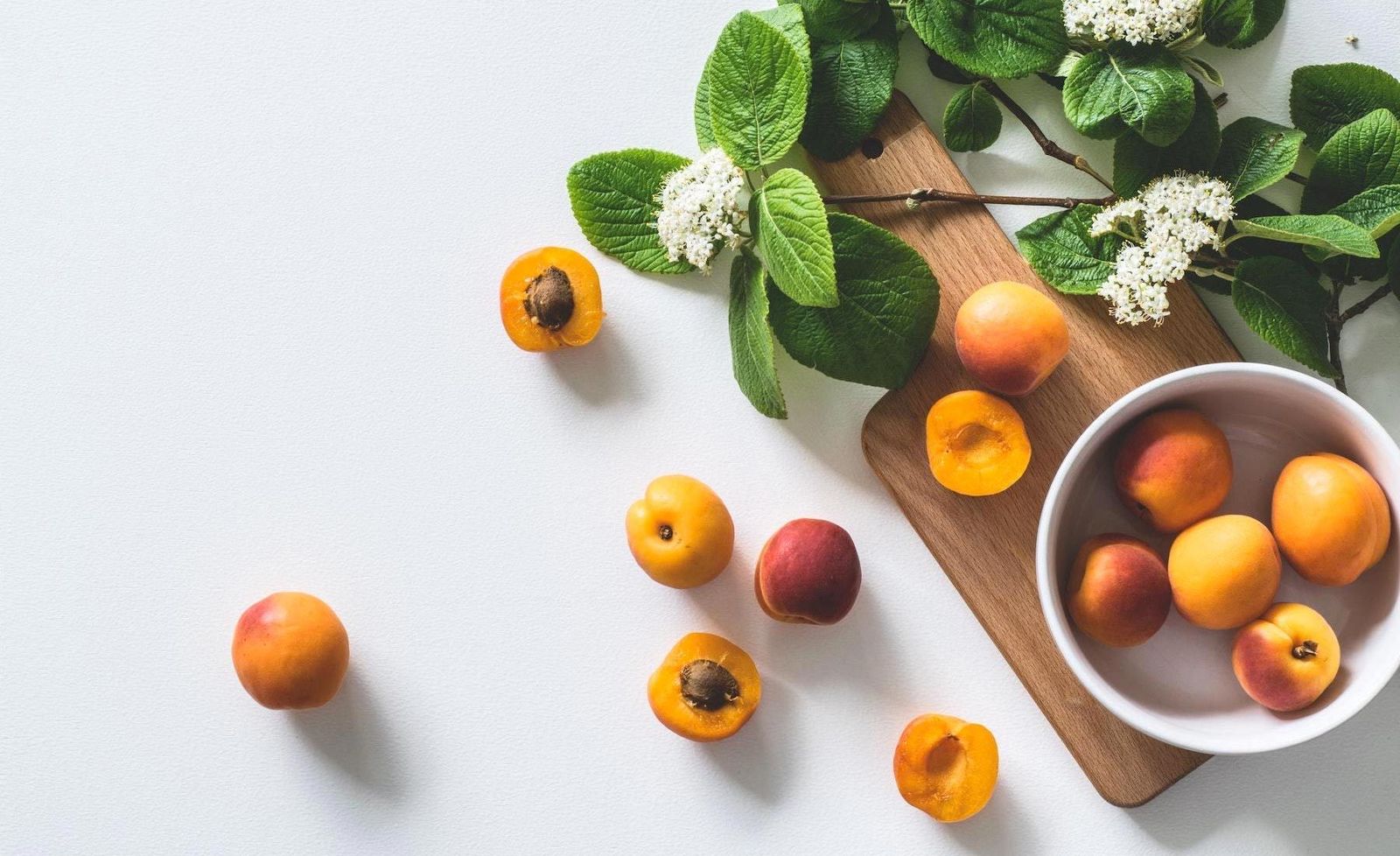 Galería con 100 imágenes desde Zip Galería con 100 imágenes desde Zip