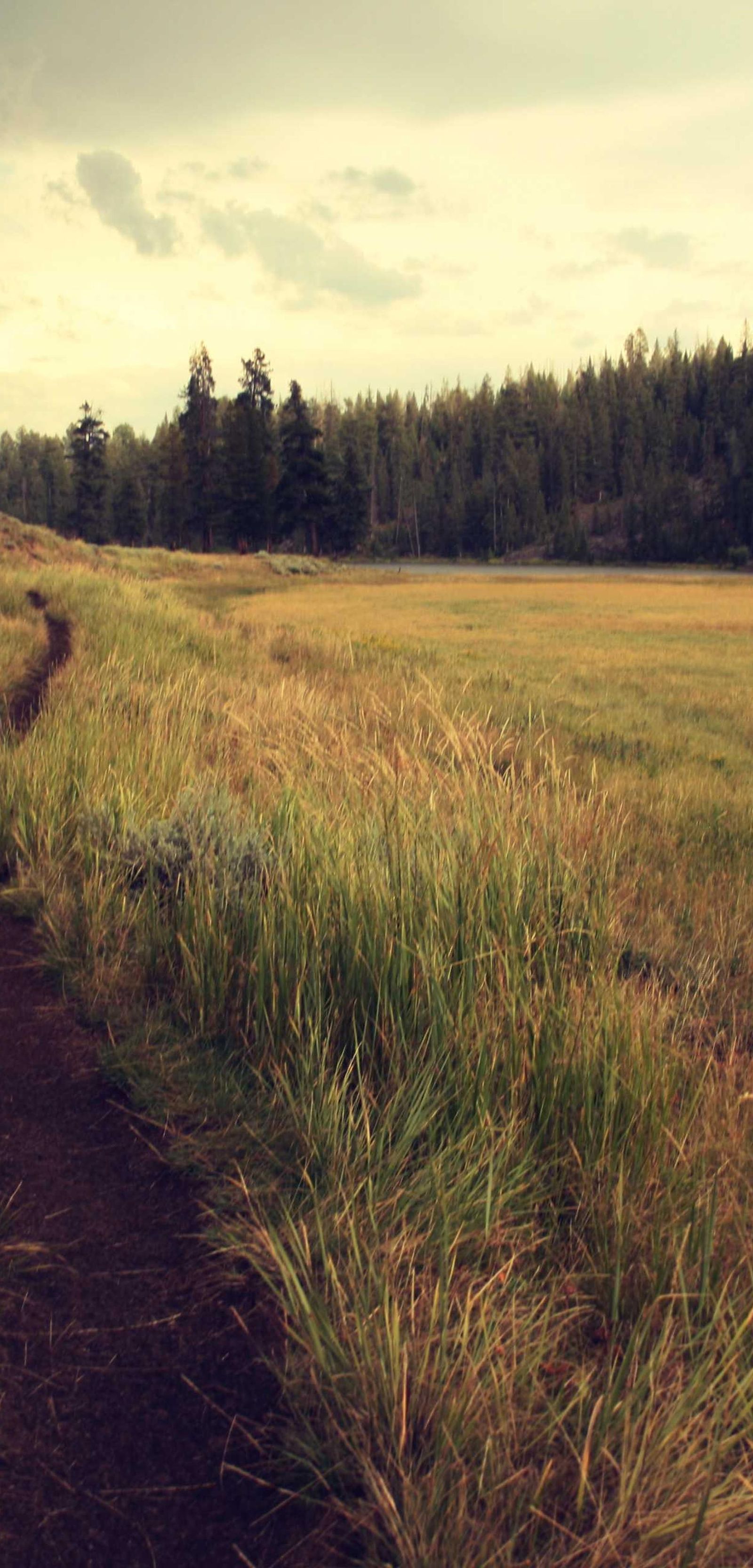 image - d837d2e4 aa63 4c29 869c ed196b1332cf