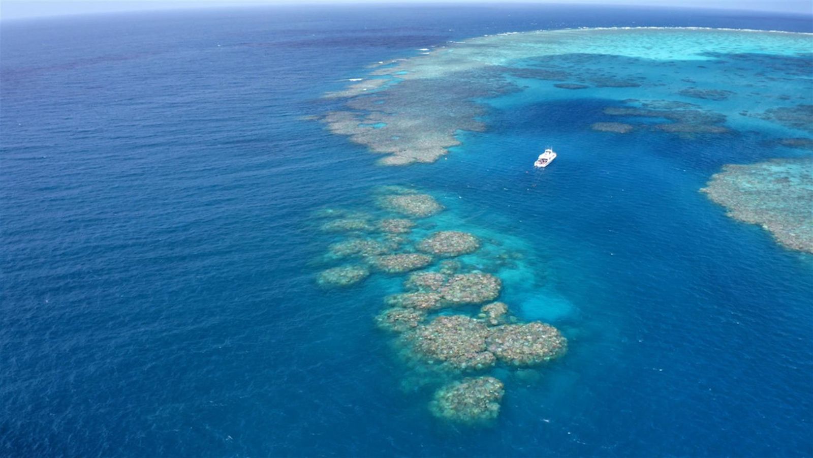 Australia confirma un blanqueo masivo en la Gran Barrera de Coral