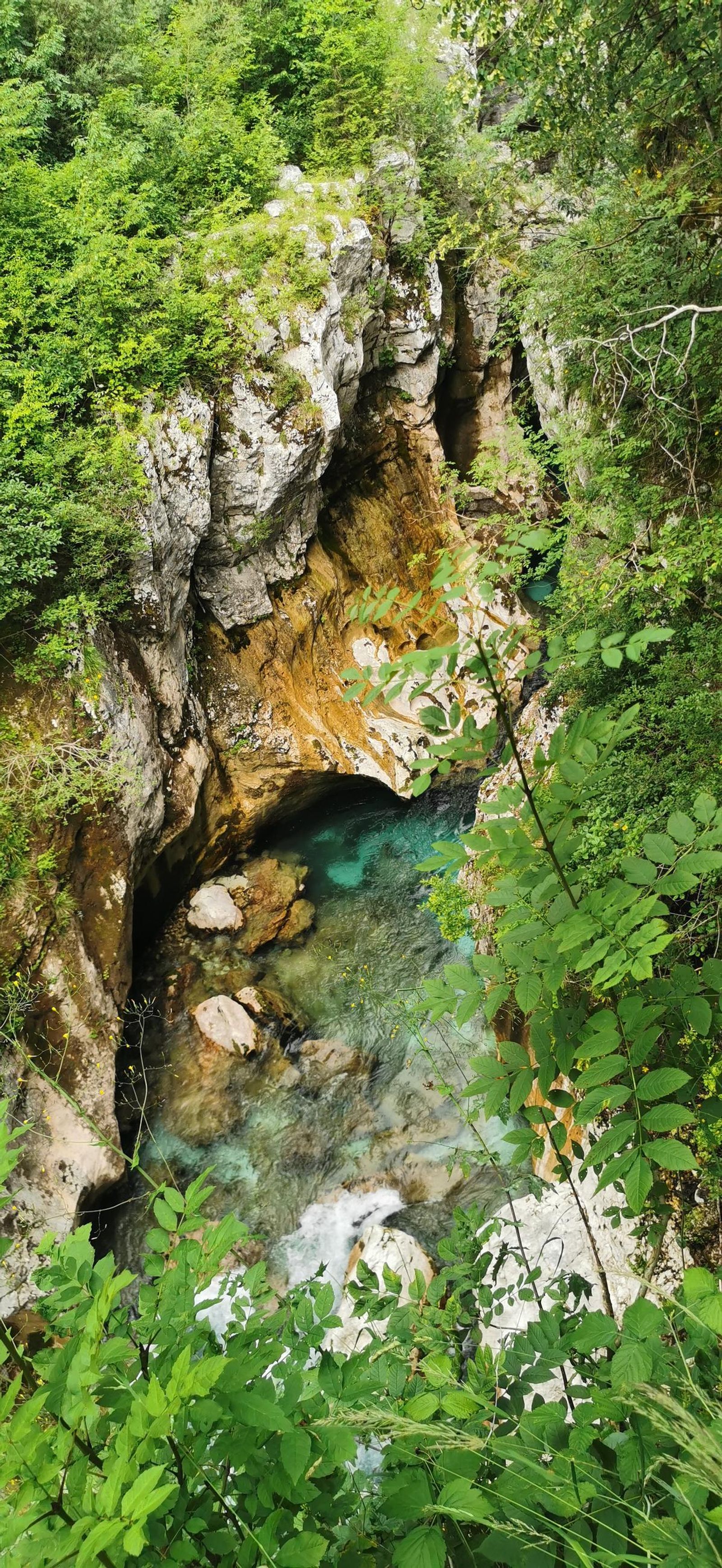 Galería test móvil Galería test móvil