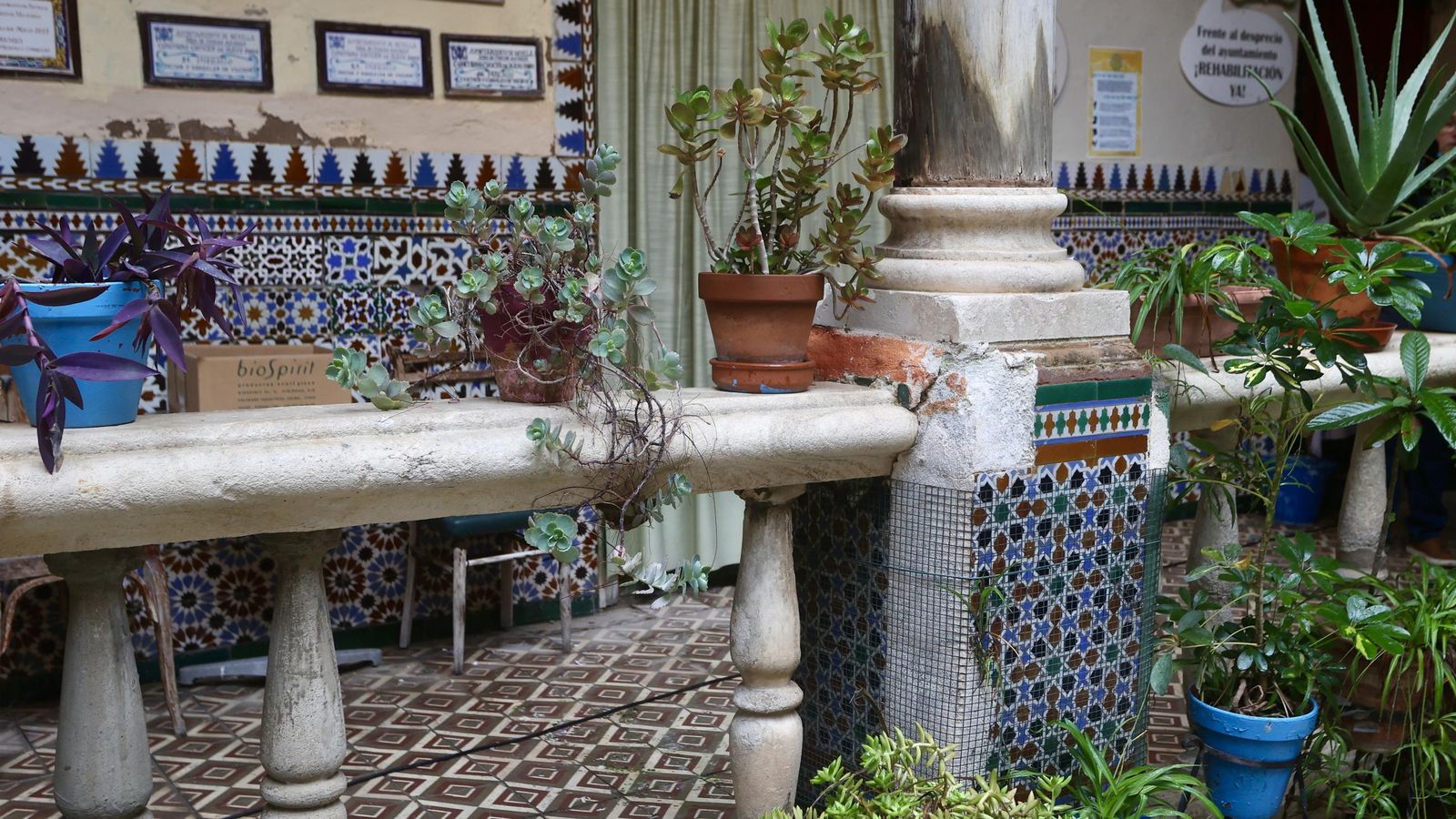 image00028.jpeg image00028.jpeg