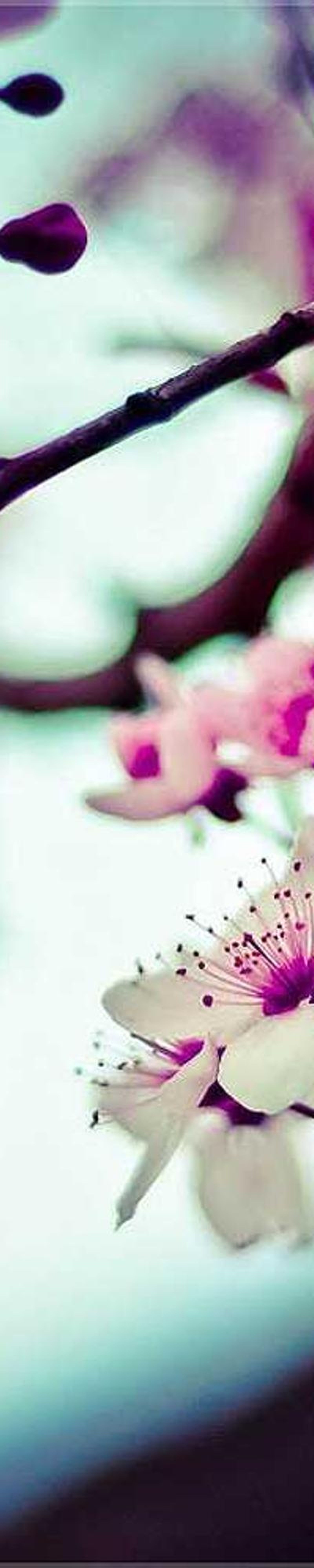 image - 7a360b70 284f 471d b1f2 6b7d0c526b06