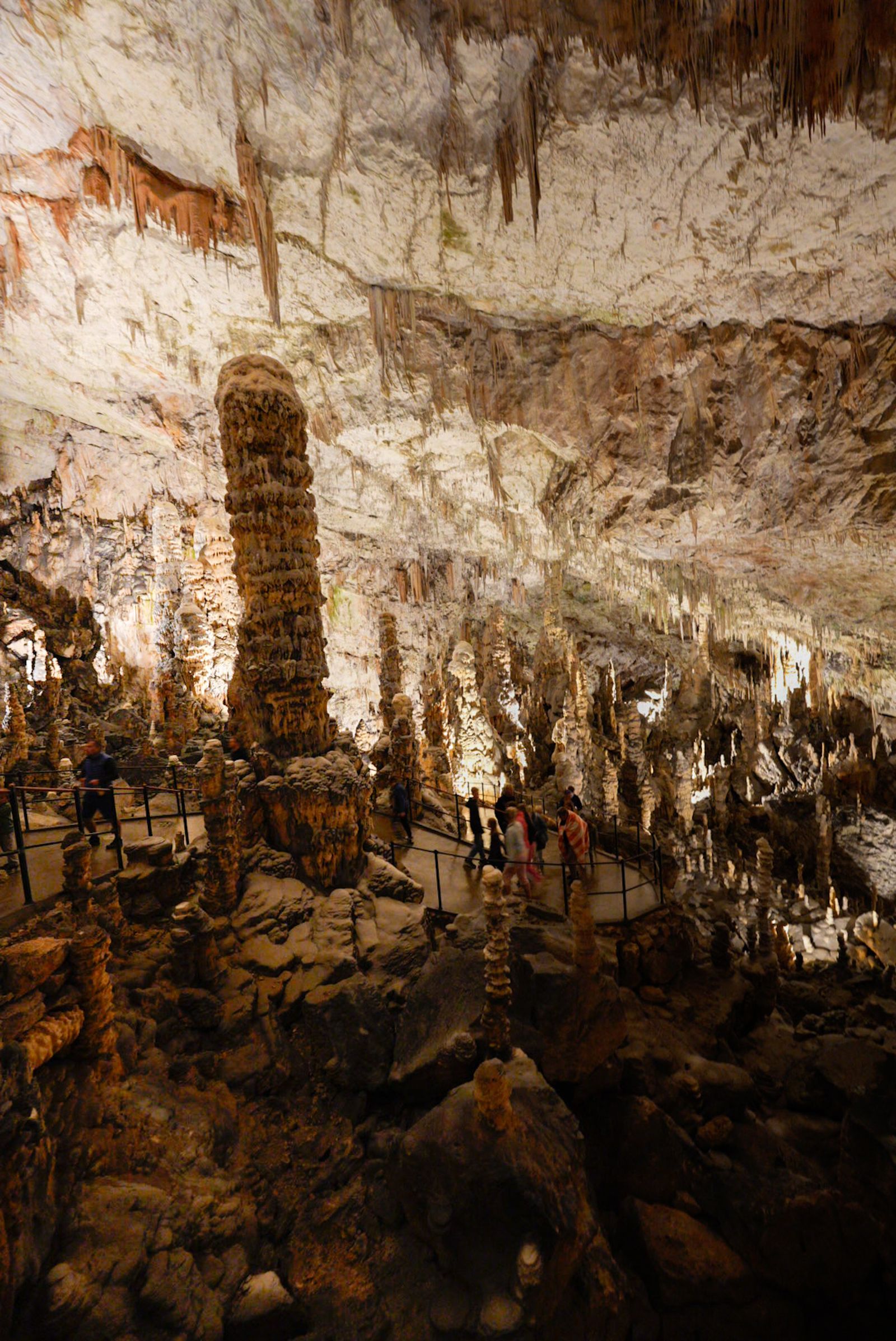 Galería test móvil Galería test móvil