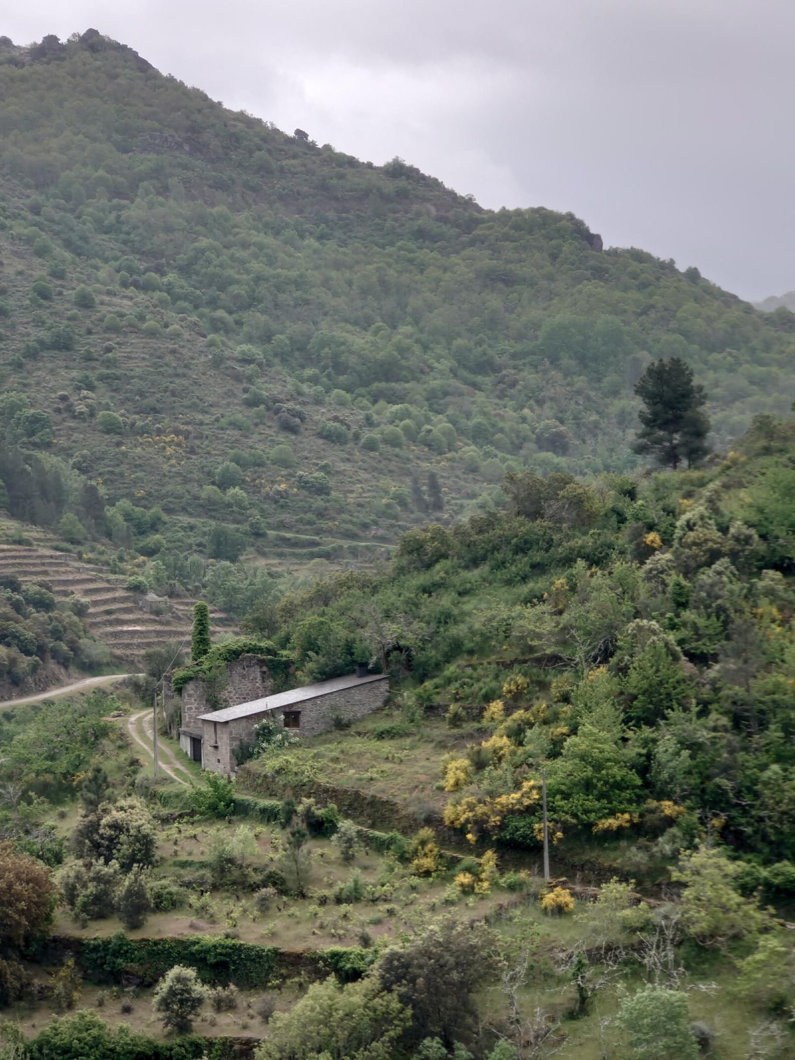 Galería test móvil