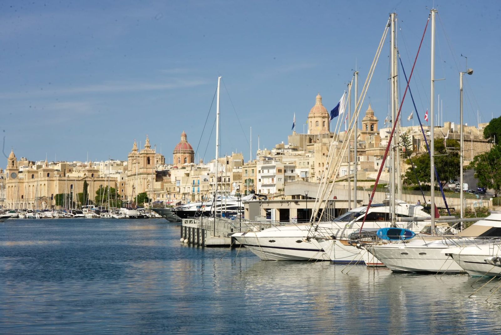 Galería móvil más de 100