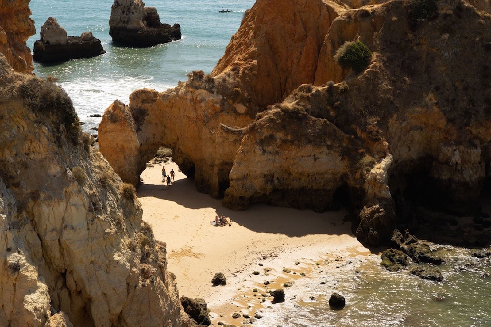 Galería móvil más de 100