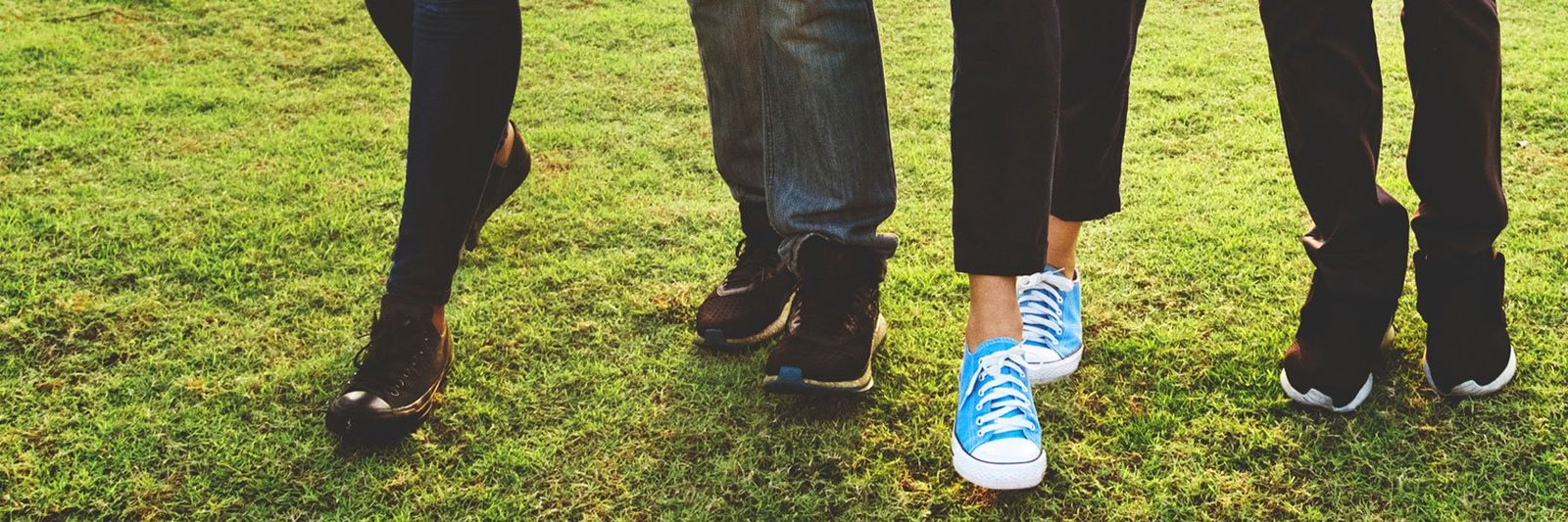 Galería con 100 imágenes desde Zip Galería con 100 imágenes desde Zip