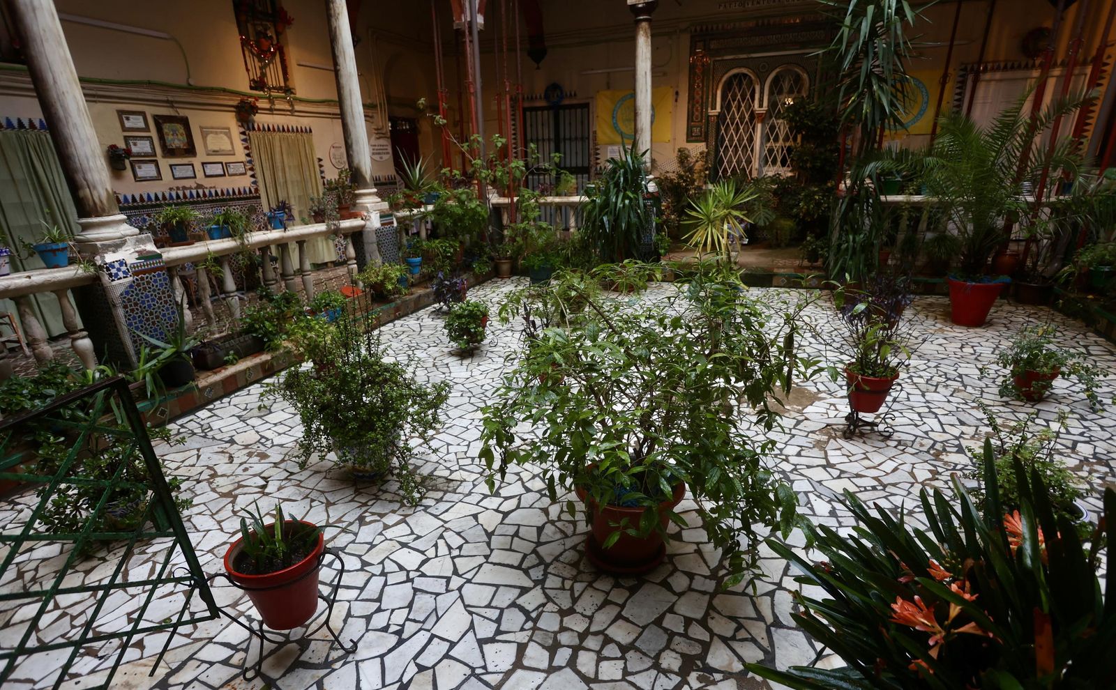 Fotogalería con más de 100 fotos Fotogalería con más de 100 fotos