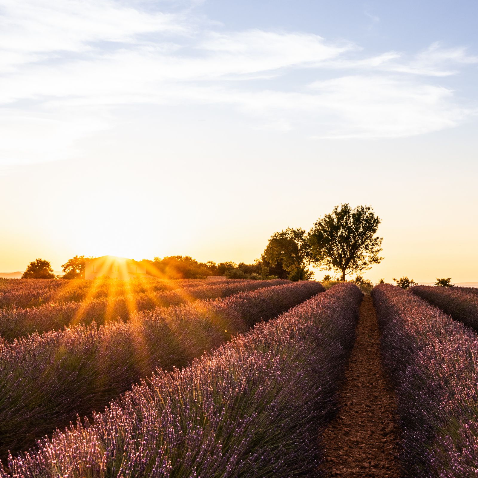 Las imágenes del día: 16 de agosto de 2022