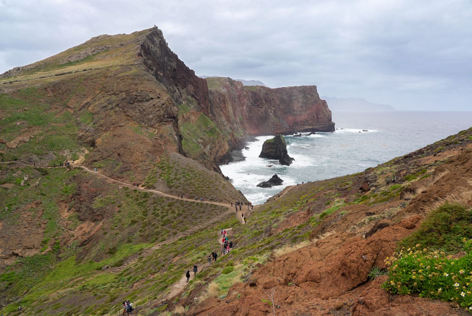 Galería test móvil