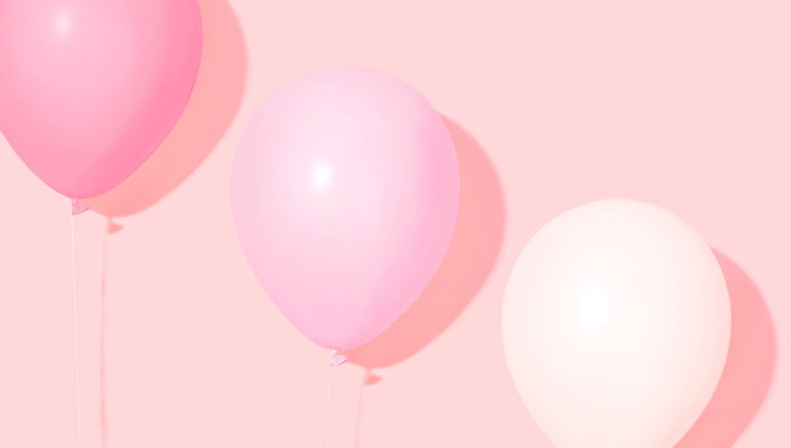 Galería con 100 imágenes desde Zip Galería con 100 imágenes desde Zip