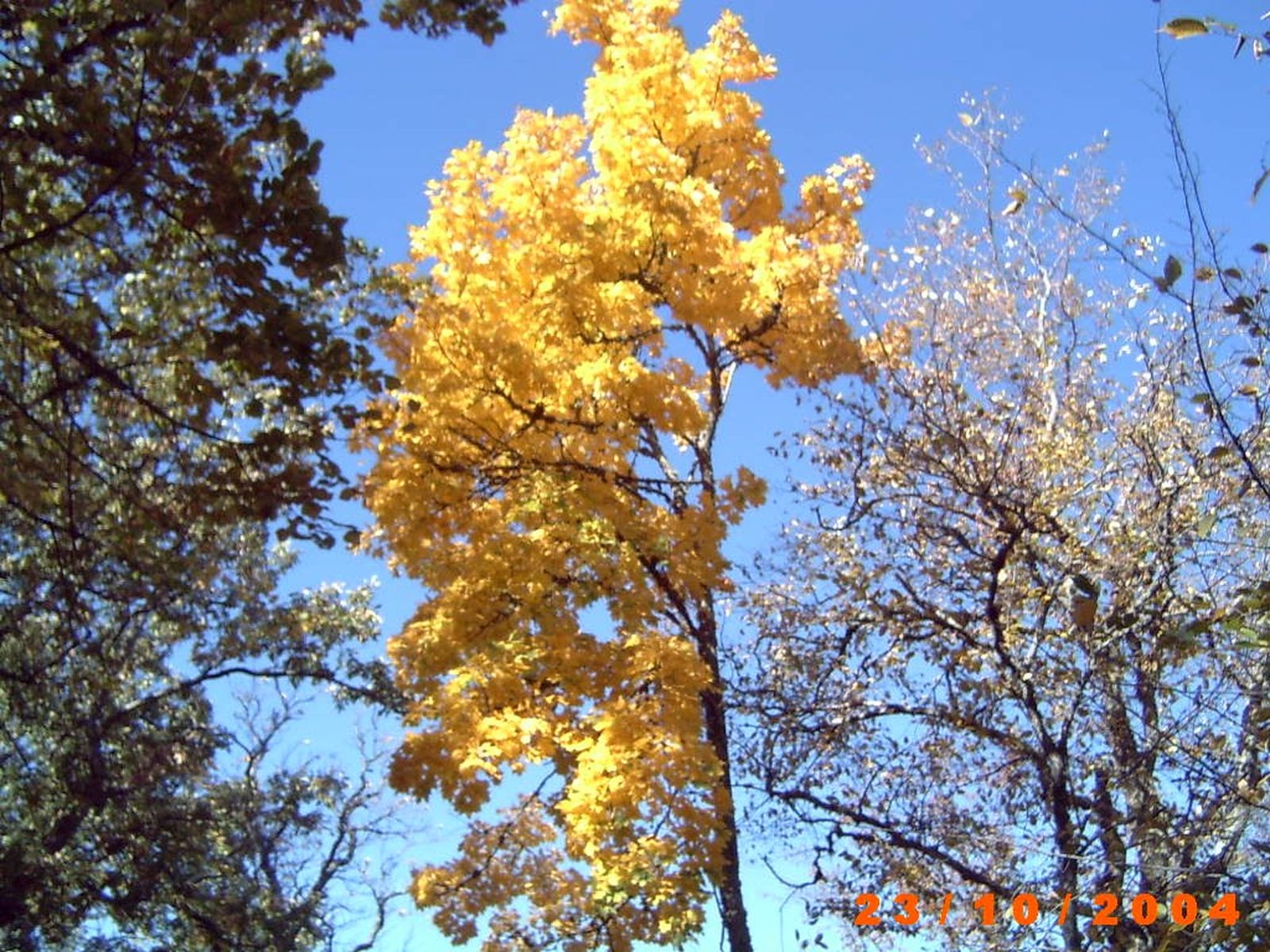 PXL_20251116_123335366