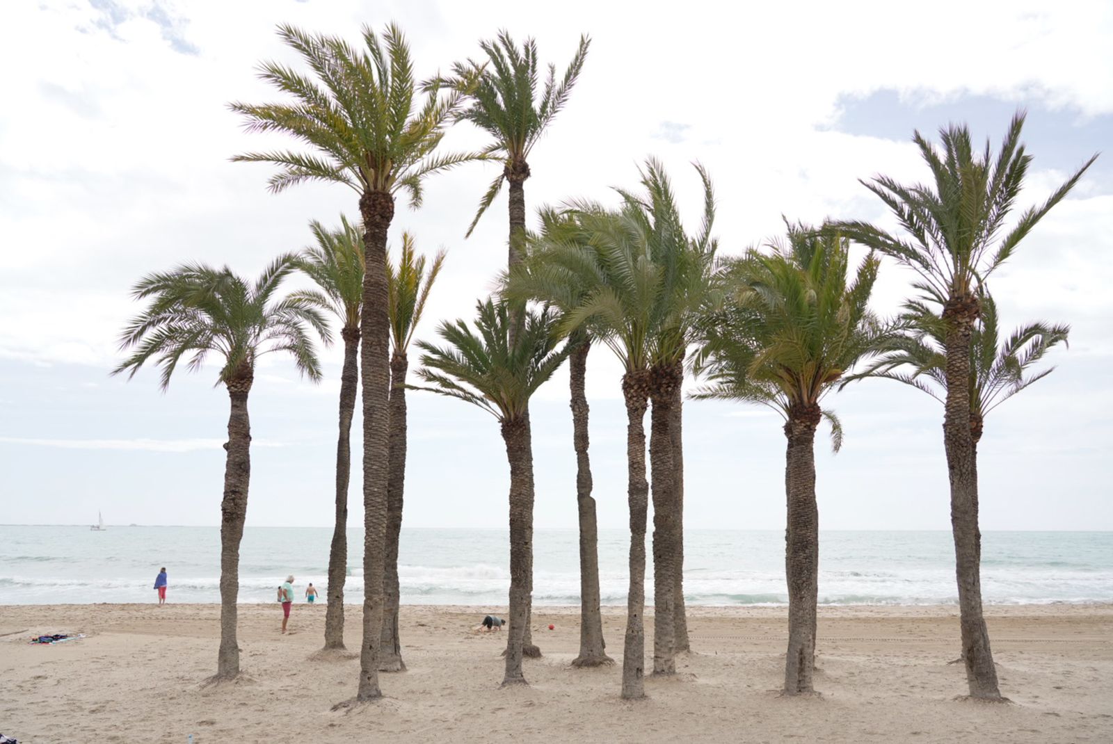 Galería móvil más de 100