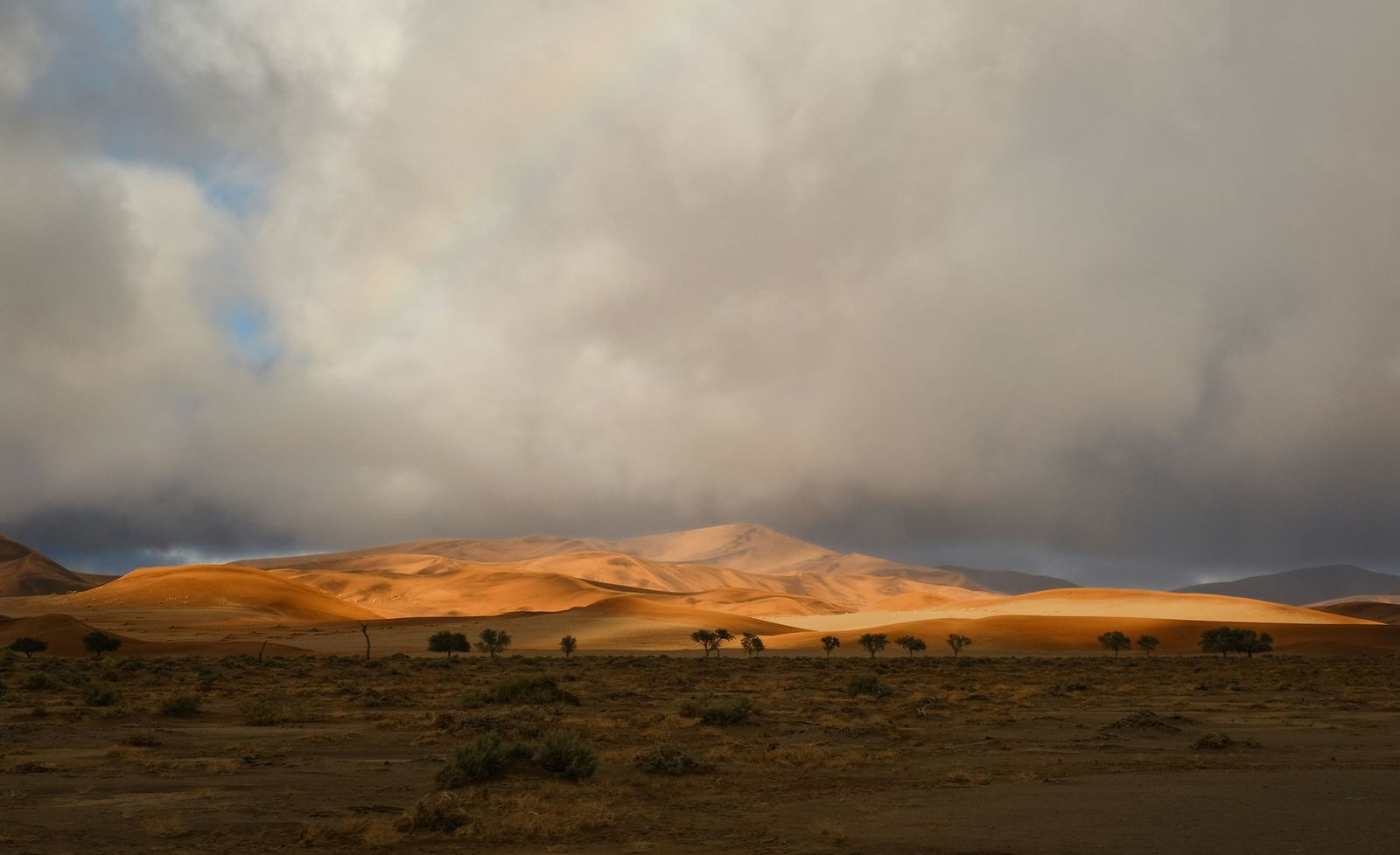 francesco-ungaro-fYvYcTmhCBE-unsplash