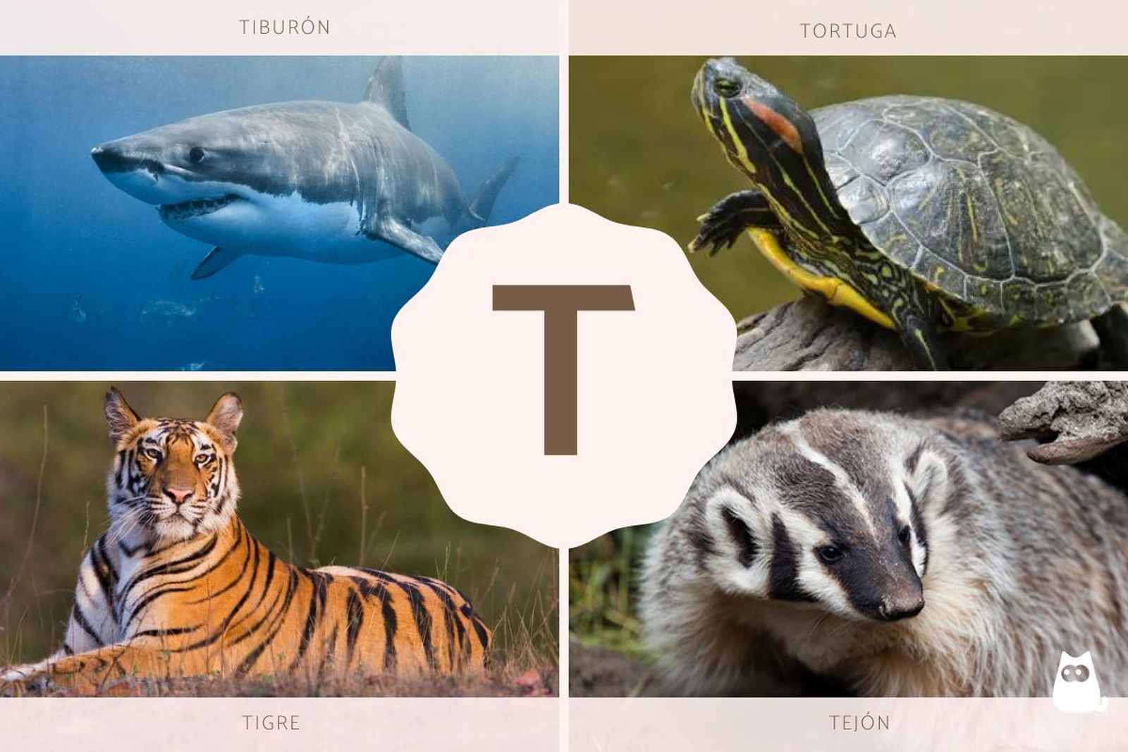 animales que empiezan por t