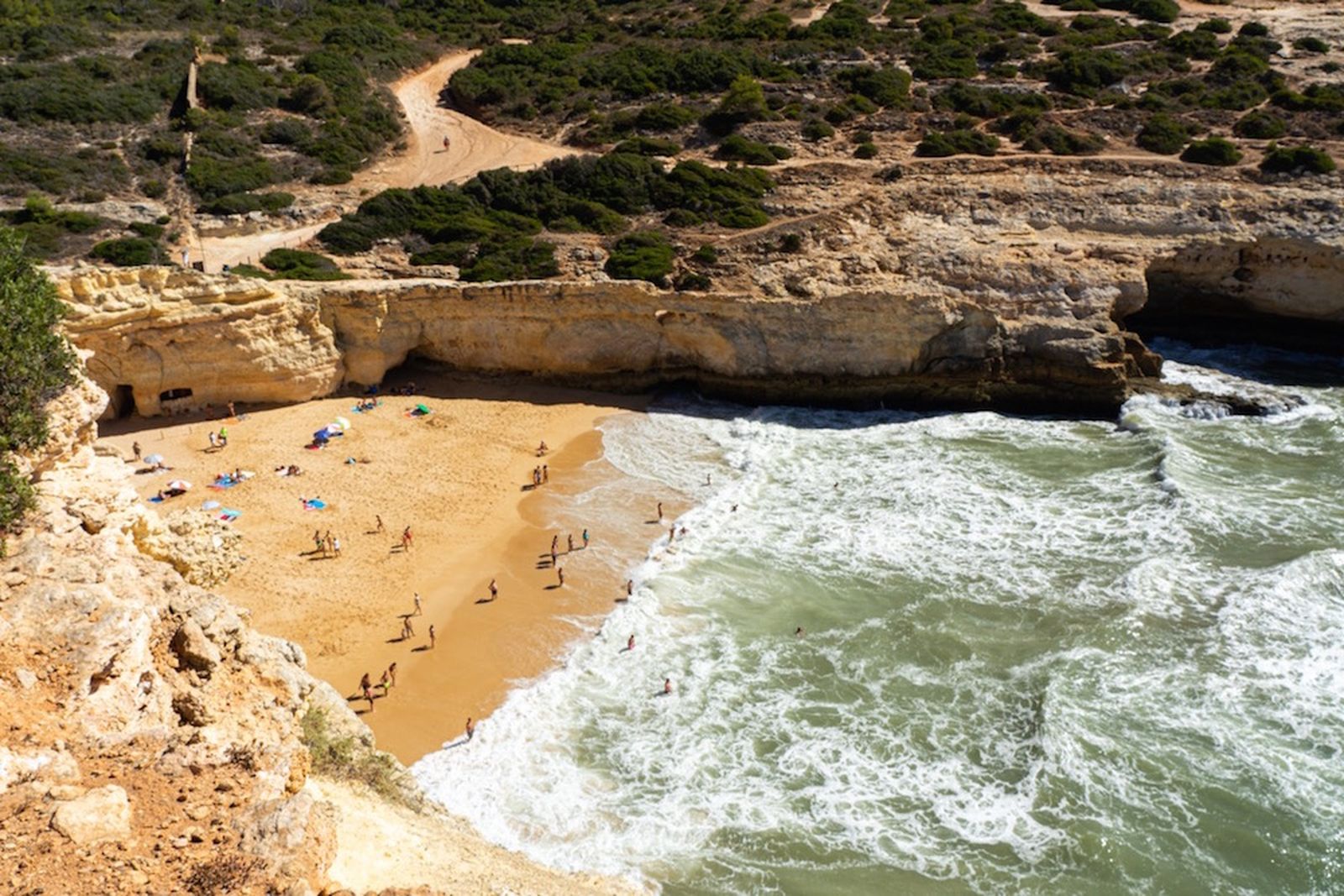 Galería móvil más de 100