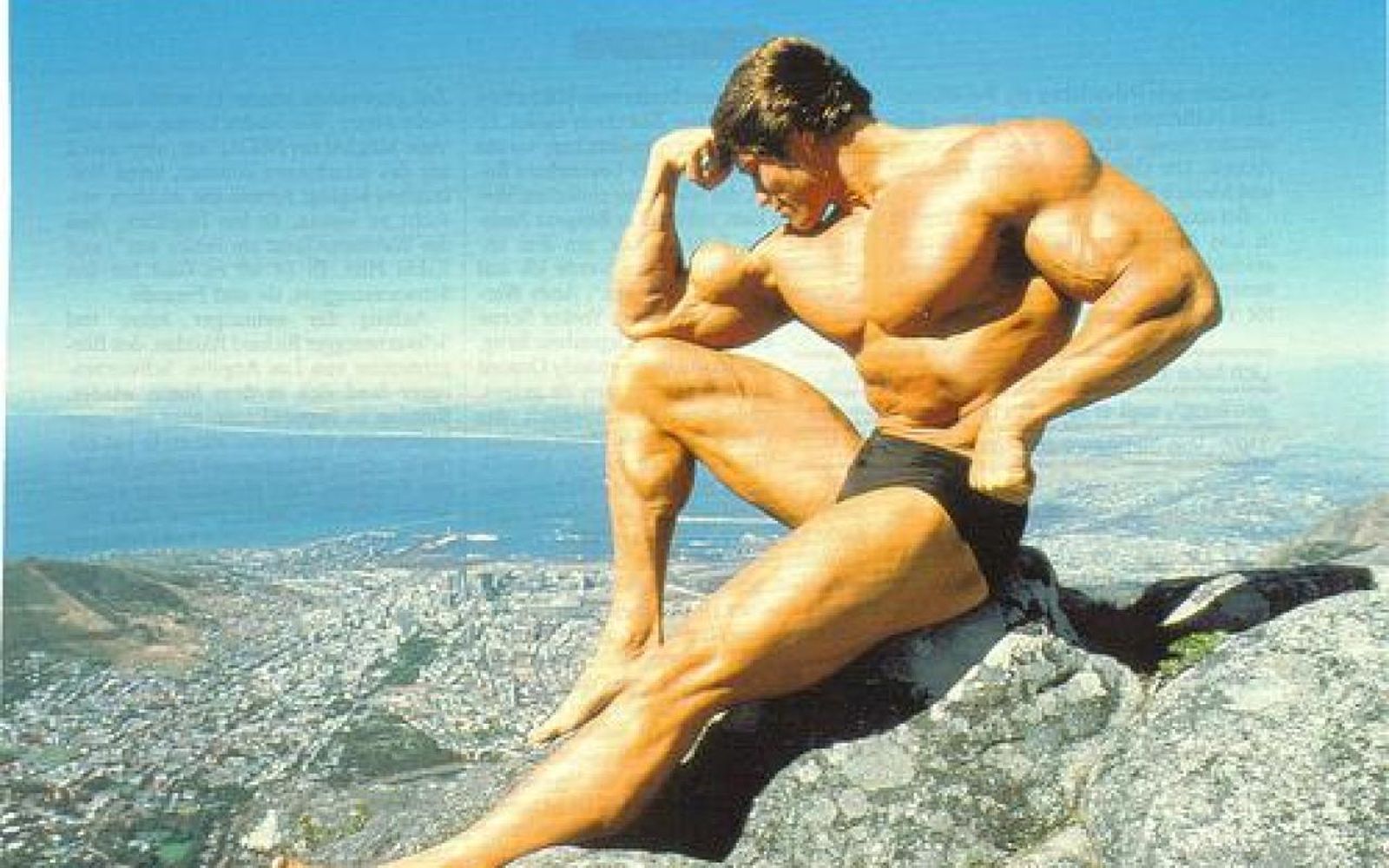 arnold schwarzenegger16.jpg