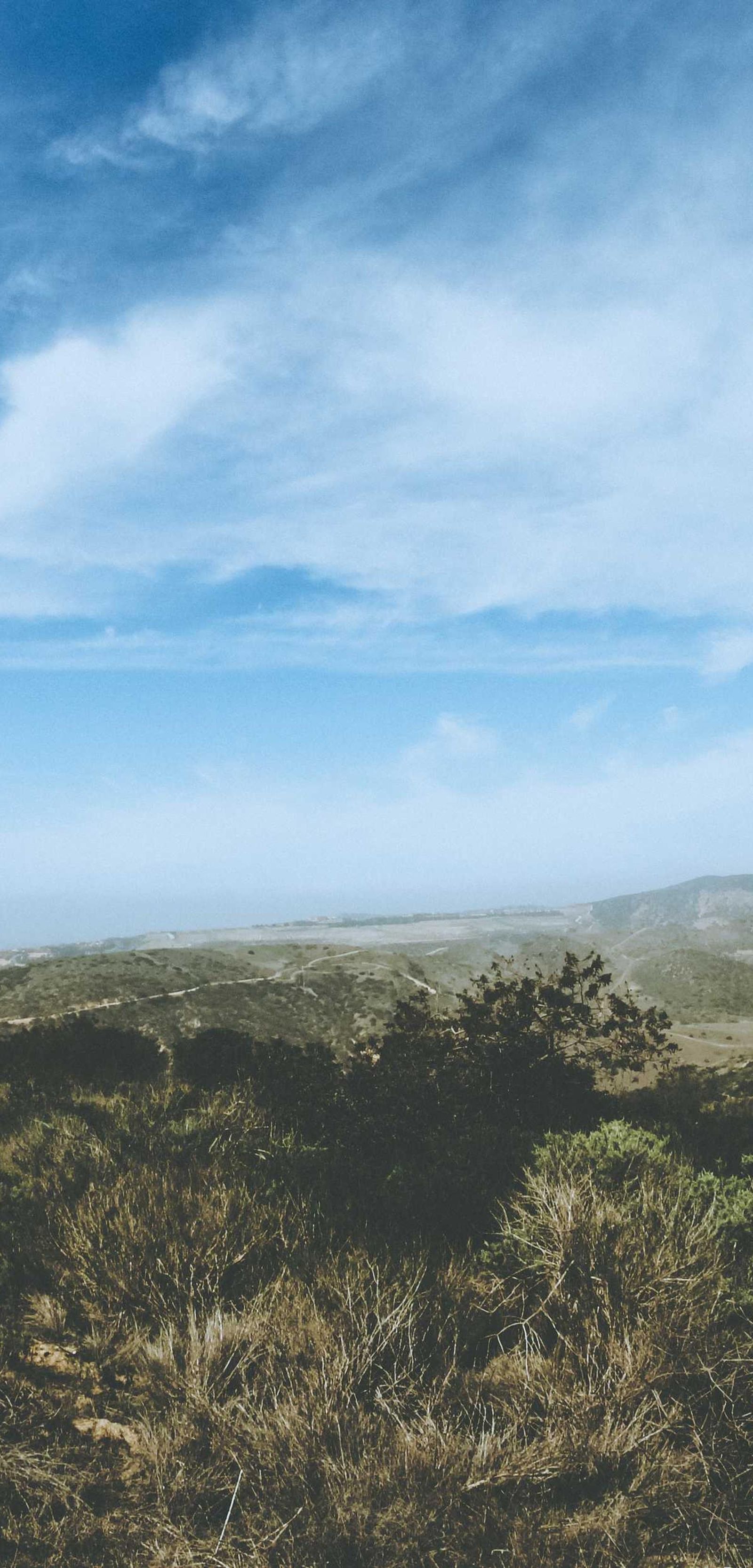 image - 47cc42a6 ebfe 403c 9ae2 77972bdec1e8