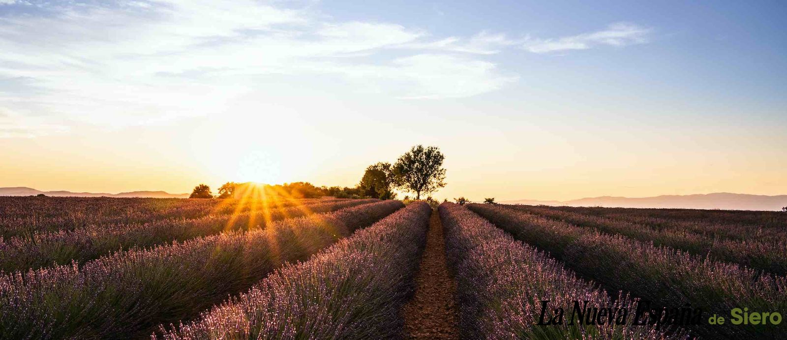 Subida múltiple fotos marca agua logo 0