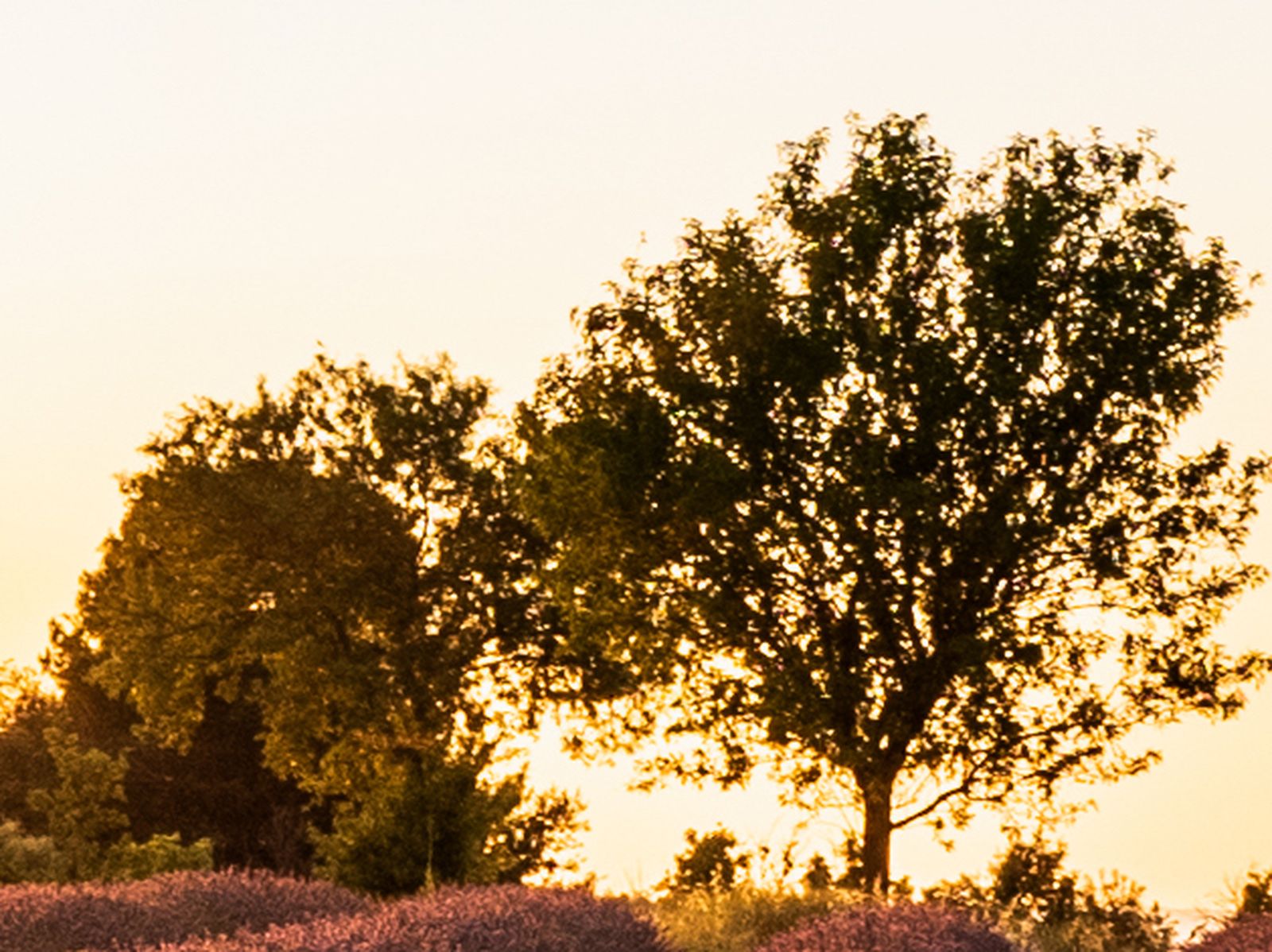 Fotogalería test 26 de mayo