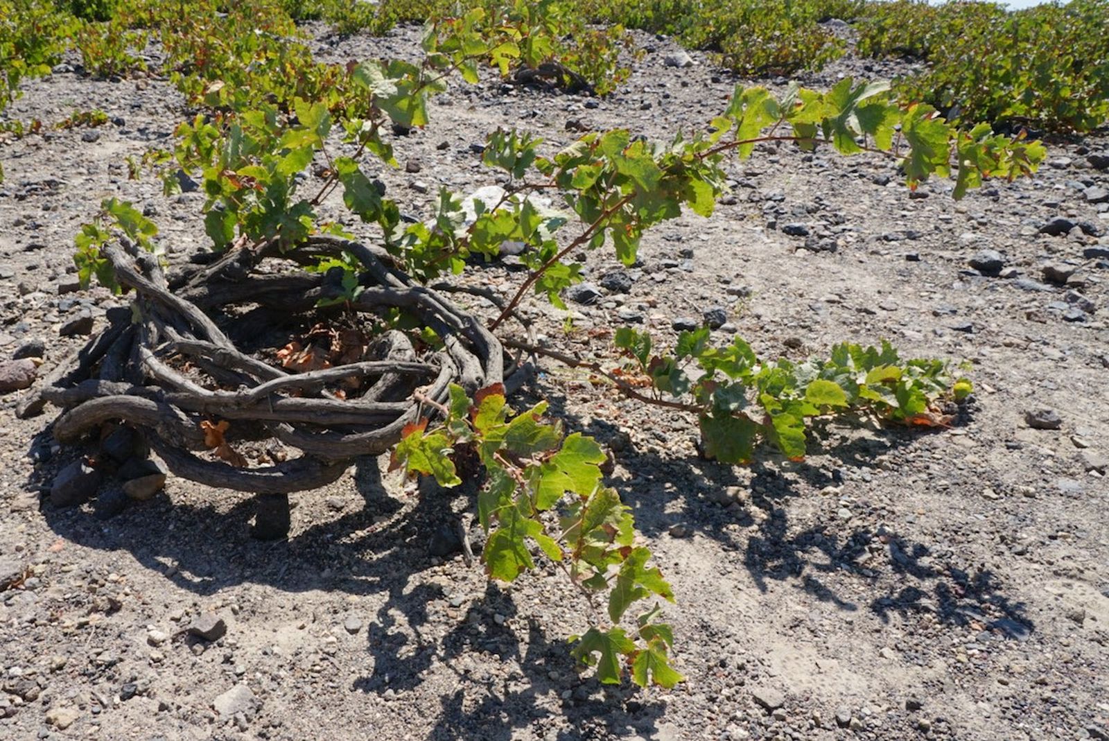 Las imágenes del día: 23 de abril de 2022 Las imágenes del día: 23 de abril de 2022