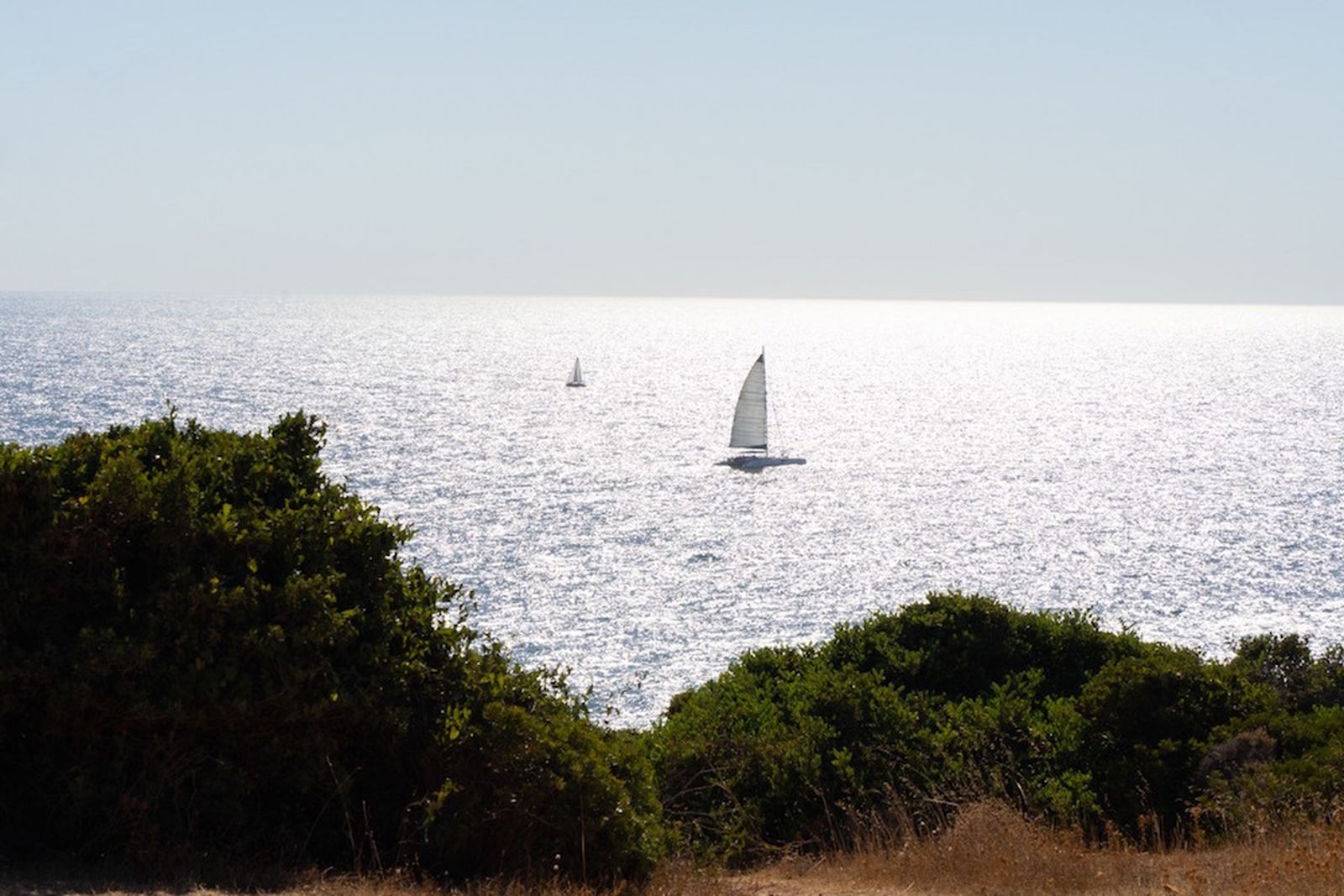 Galería móvil más de 100