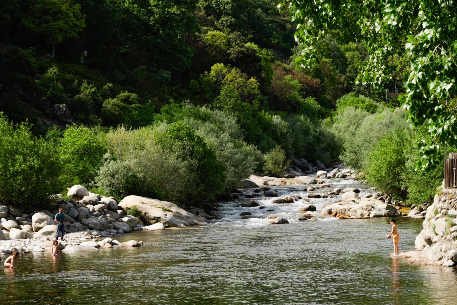 Galería múltiple móvil Galería múltiple móvil