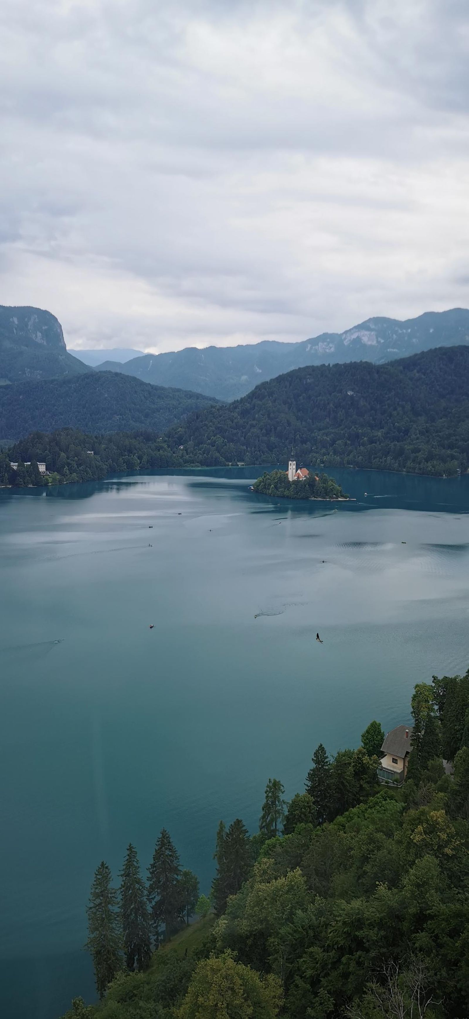 Galería test móvil Galería test móvil