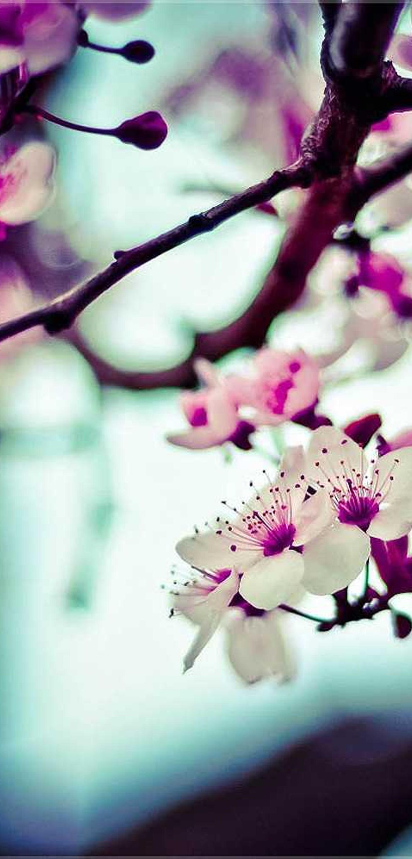 image - b31c1aa8 1702 4697 91b5 04a30b9f666d