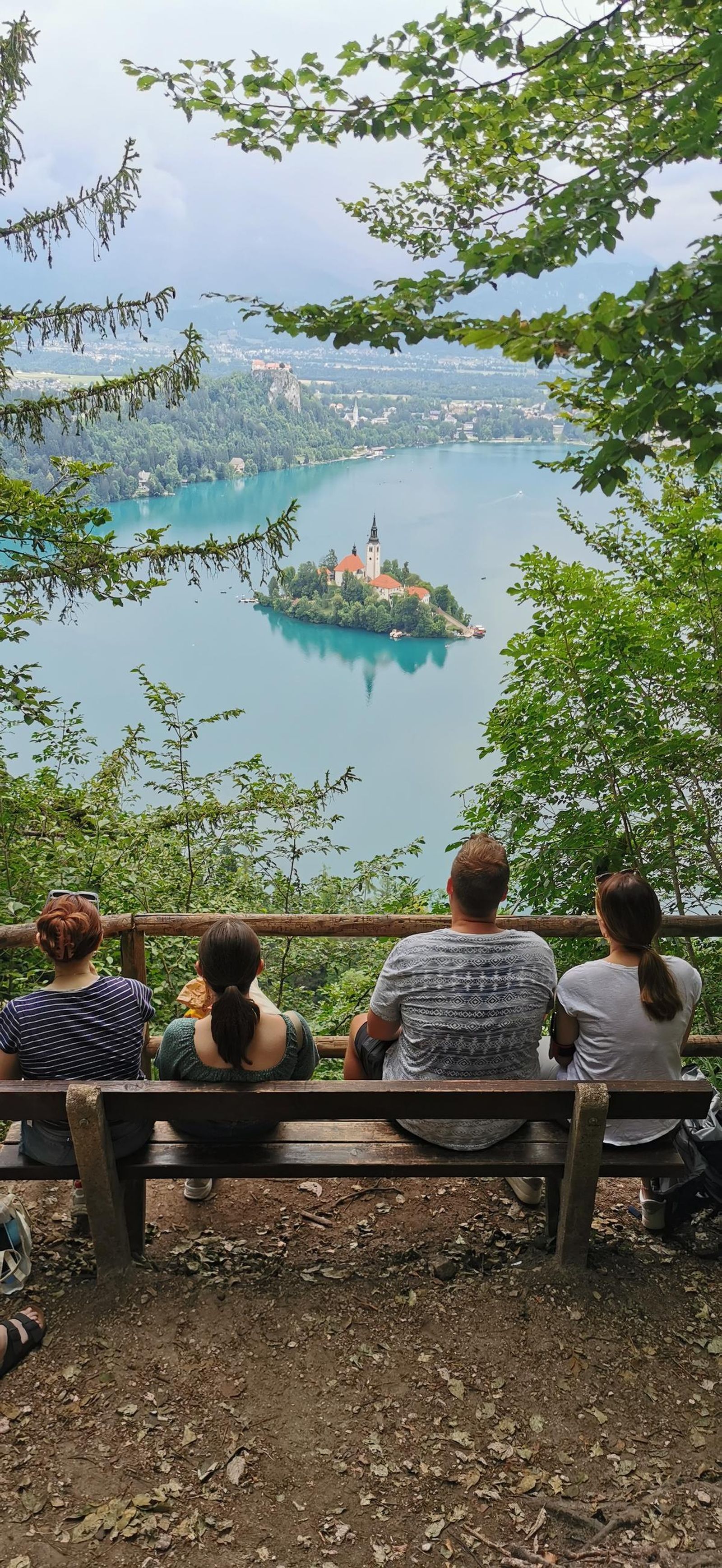 Galería test móvil Galería test móvil