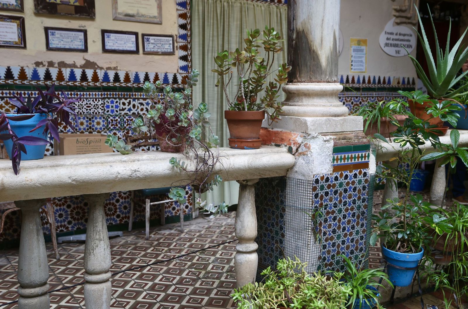 Mas de 100 todas correctas/image00028 Mas de 100 todas correctas/image00028