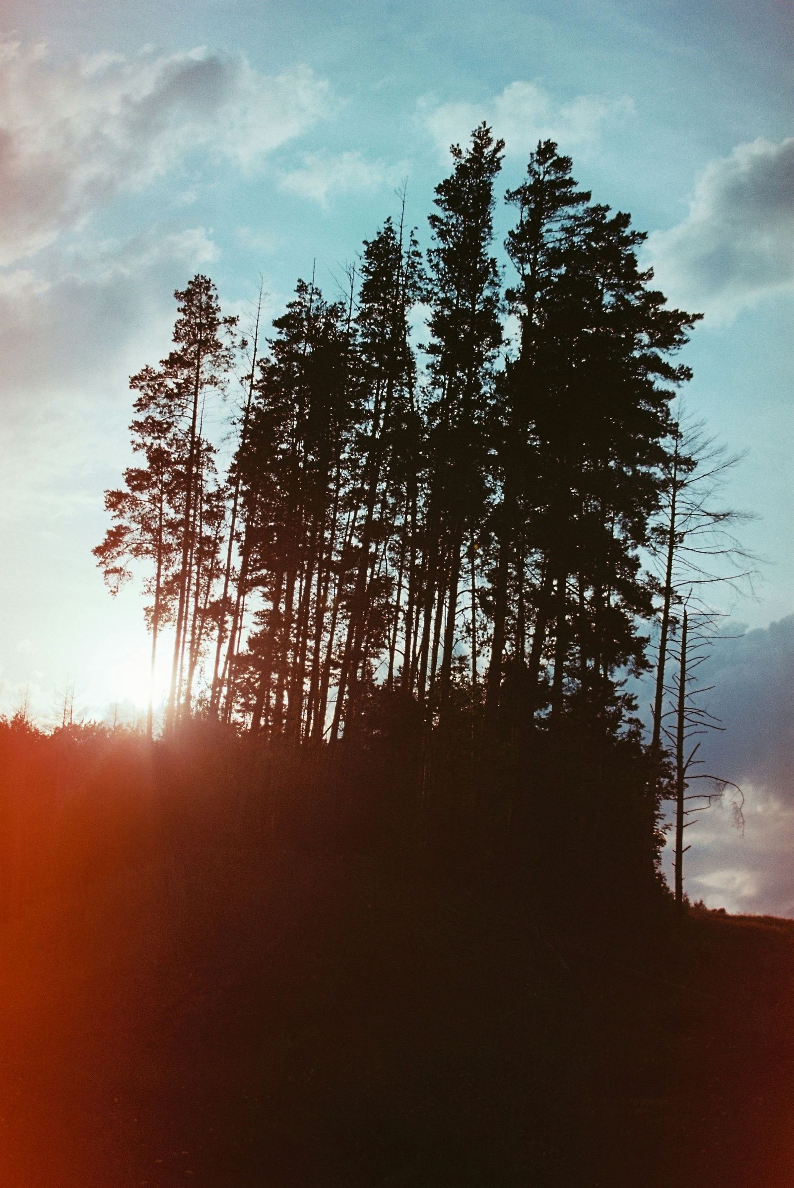 kamil-foatov-7op3m4ETCfE-unsplash