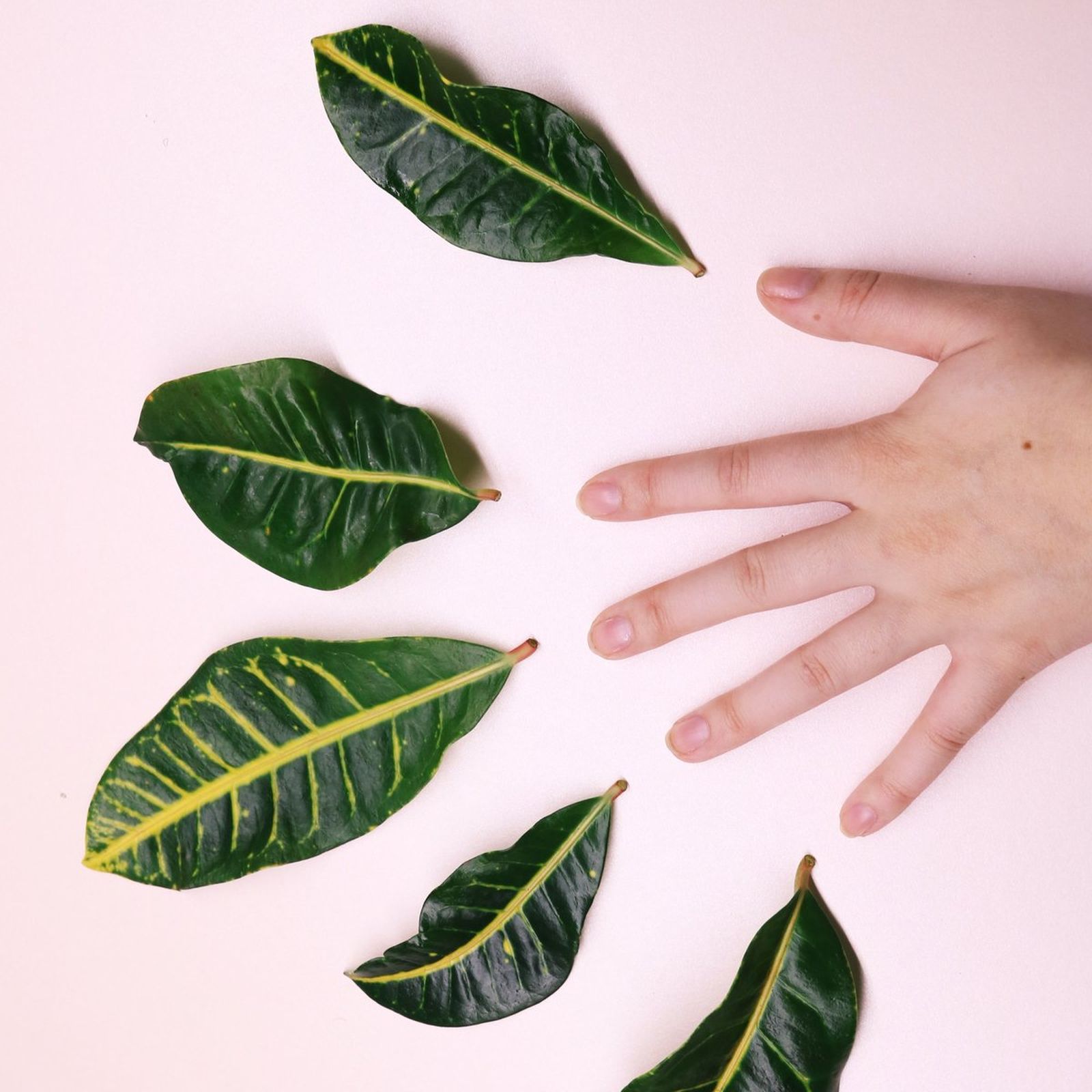 Galería con 100 imágenes desde Zip Galería con 100 imágenes desde Zip