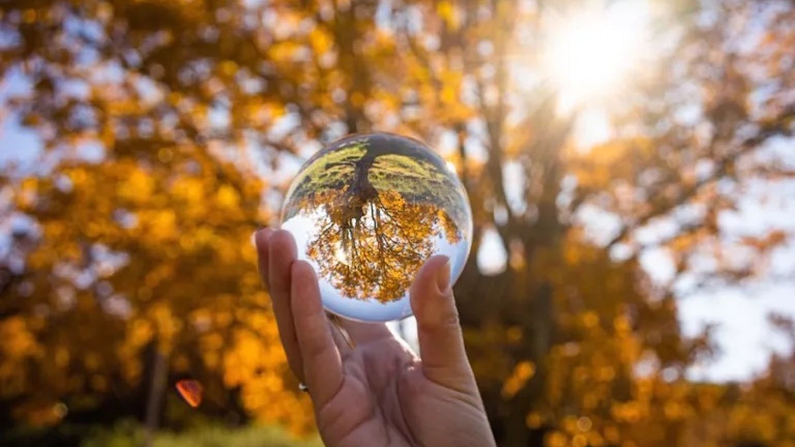 madrid sierra rincon lensball madrid sierra rincon lensball