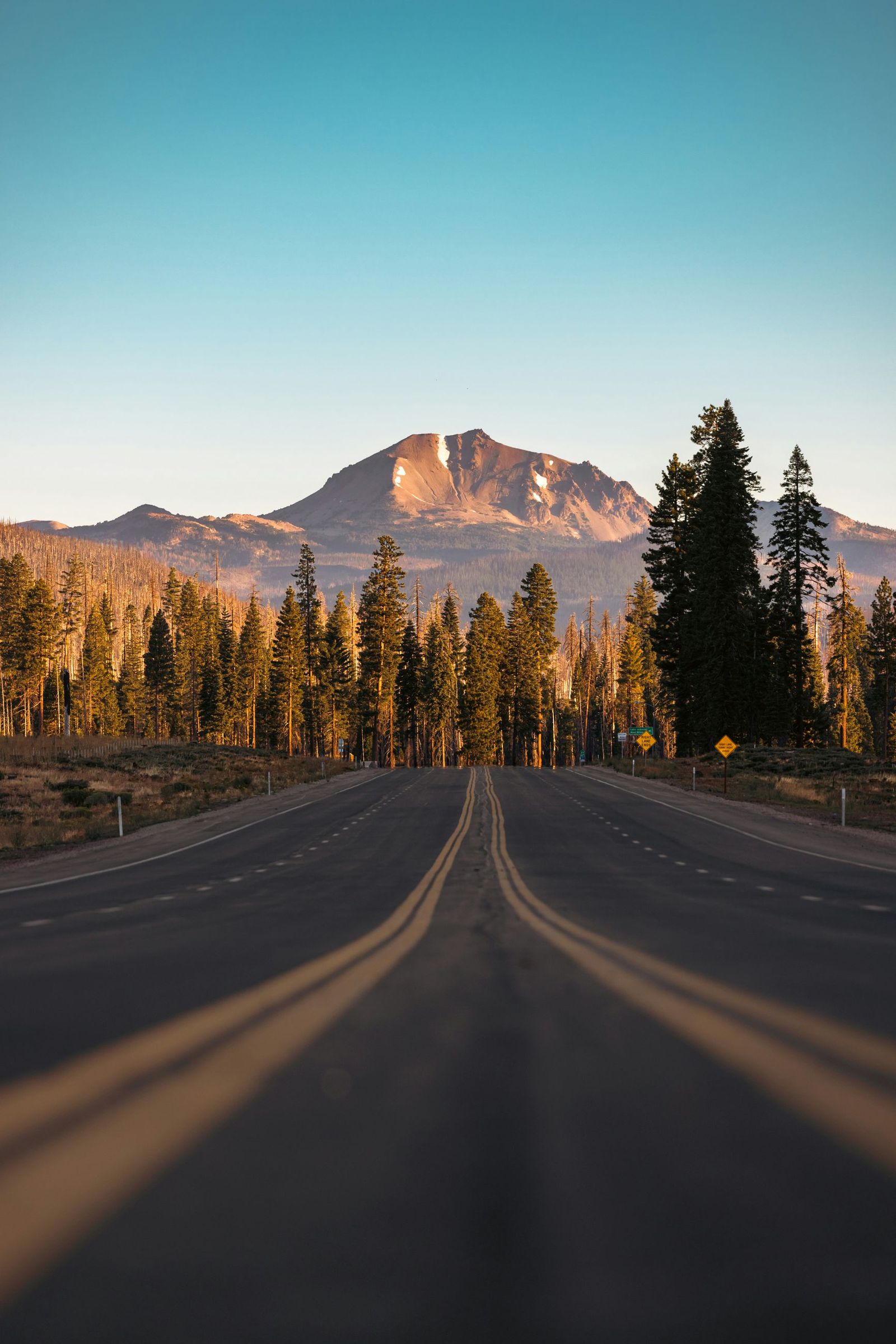 royce-fonseca-JrY8Xq-PgzA-unsplash