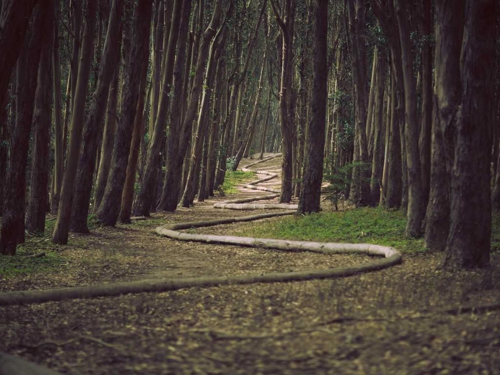 ERUT_190_4-3_1024x768